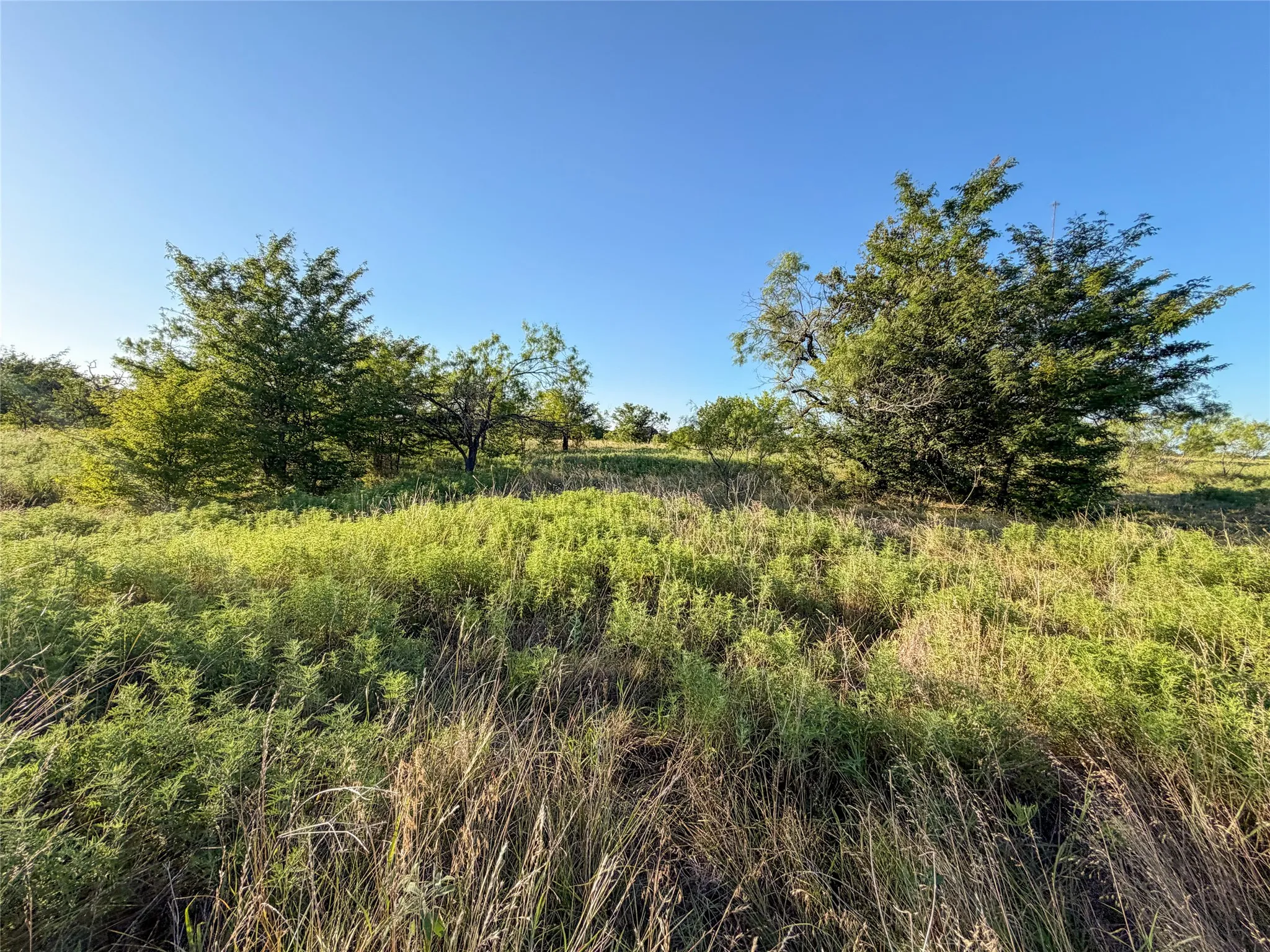 Unimproved Land For Sale in Hunt County , 5715 INTERSTATE 30, Campbell, Texas 75422, 0, 0, Garage spaces, 0 Sqft, built in 0, mls#21322797, Real Estate Agent in Campbell, Homes For Sale in Hunt county, Homes For Sale in Campbell, Realtor in Campbell Texas, Real Estate Brokerage Independent Realty Texas, Luminita Cordes Realtor