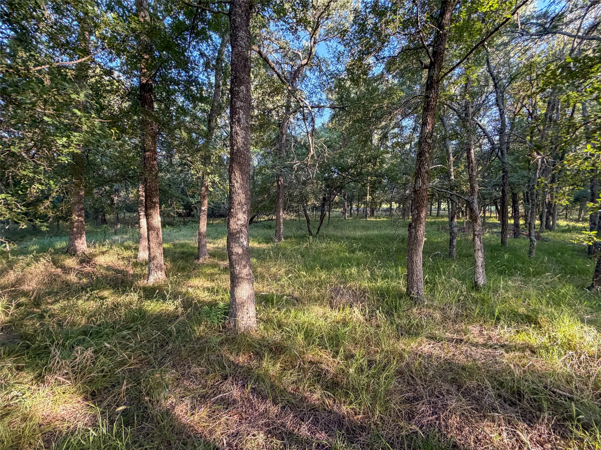 Unimproved Land For Sale in Hunt County , 5715 INTERSTATE 30, Campbell, Texas 75422, 0, 0, Garage spaces, 0 Sqft, built in 0, mls#21322797, Real Estate Agent in Campbell, Homes For Sale in Hunt county, Homes For Sale in Campbell, Realtor in Campbell Texas, Real Estate Brokerage Independent Realty Texas, Luminita Cordes Realtor