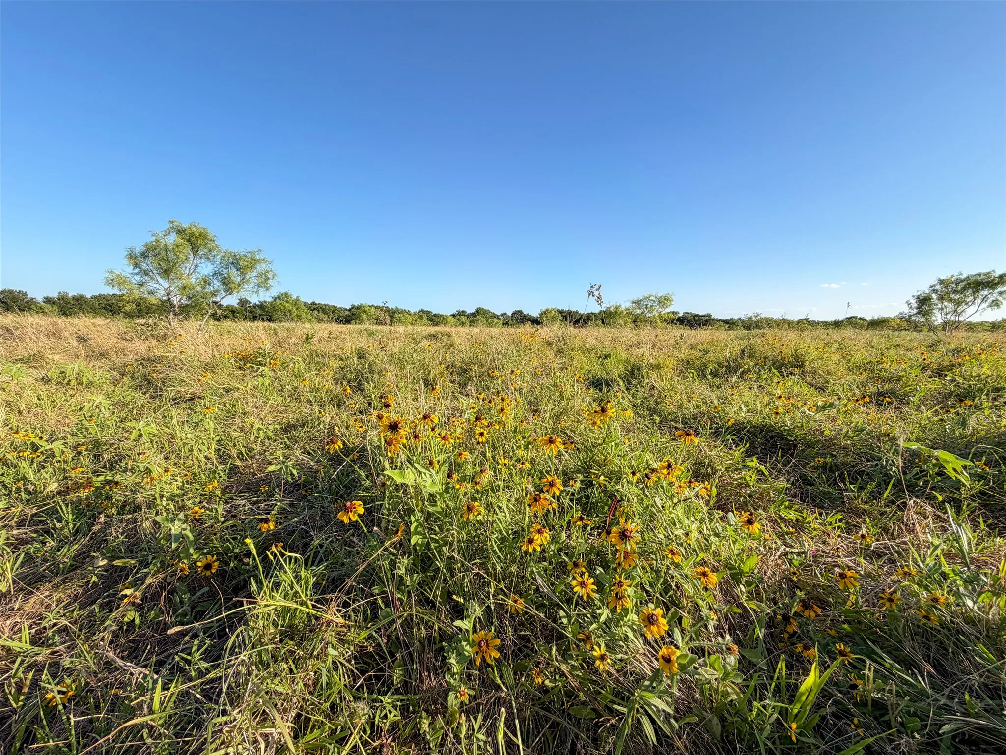 Unimproved Land For Sale in Hunt County , 5715 INTERSTATE 30, Campbell, Texas 75422, 0, 0, Garage spaces, 0 Sqft, built in 0, mls#21322797, Real Estate Agent in Campbell, Homes For Sale in Hunt county, Homes For Sale in Campbell, Realtor in Campbell Texas, Real Estate Brokerage Independent Realty Texas, Luminita Cordes Realtor