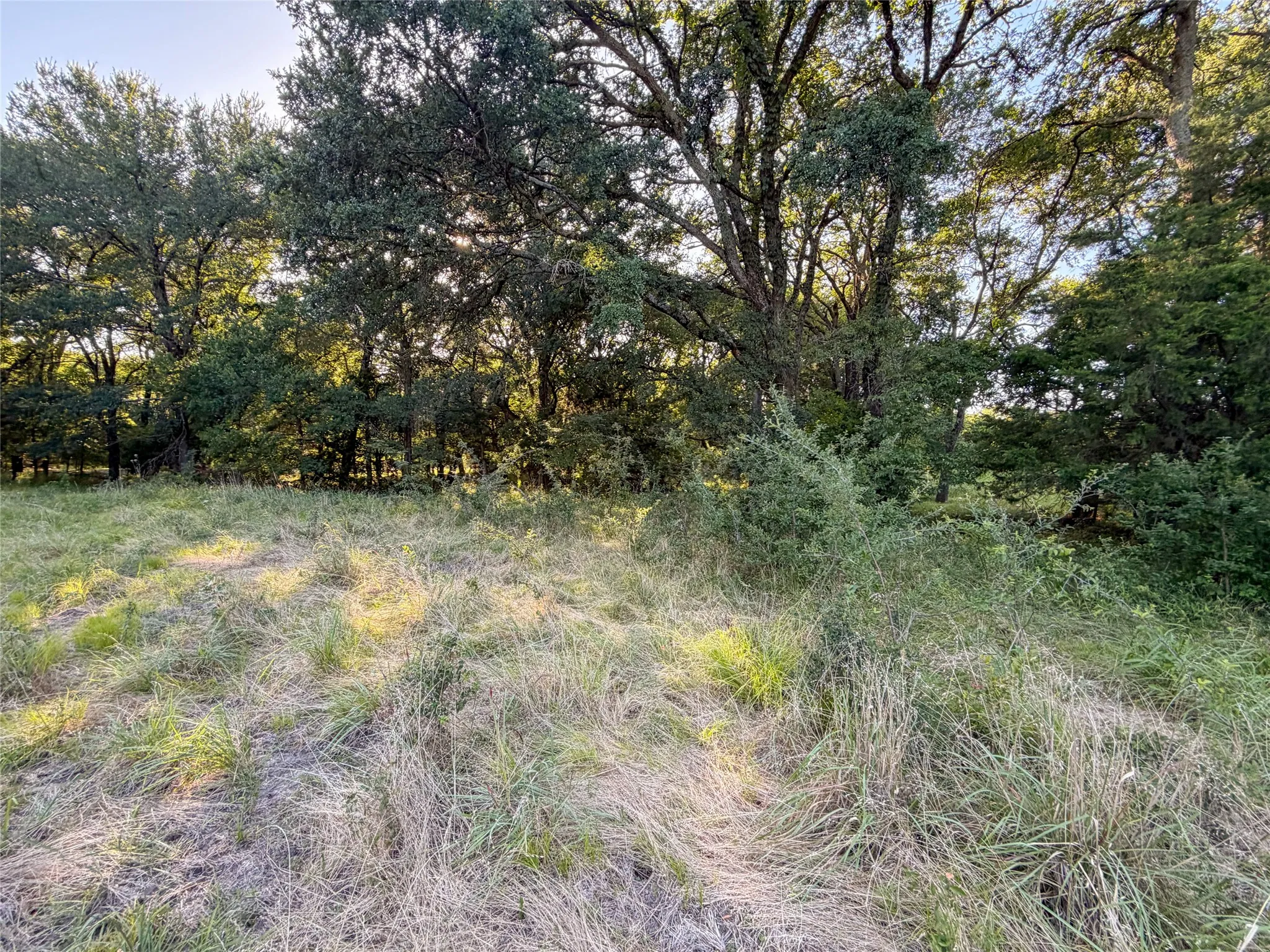 Unimproved Land For Sale in Hunt County , 5715 INTERSTATE 30, Campbell, Texas 75422, 0, 0, Garage spaces, 0 Sqft, built in 0, mls#21322797, Real Estate Agent in Campbell, Homes For Sale in Hunt county, Homes For Sale in Campbell, Realtor in Campbell Texas, Real Estate Brokerage Independent Realty Texas, Luminita Cordes Realtor