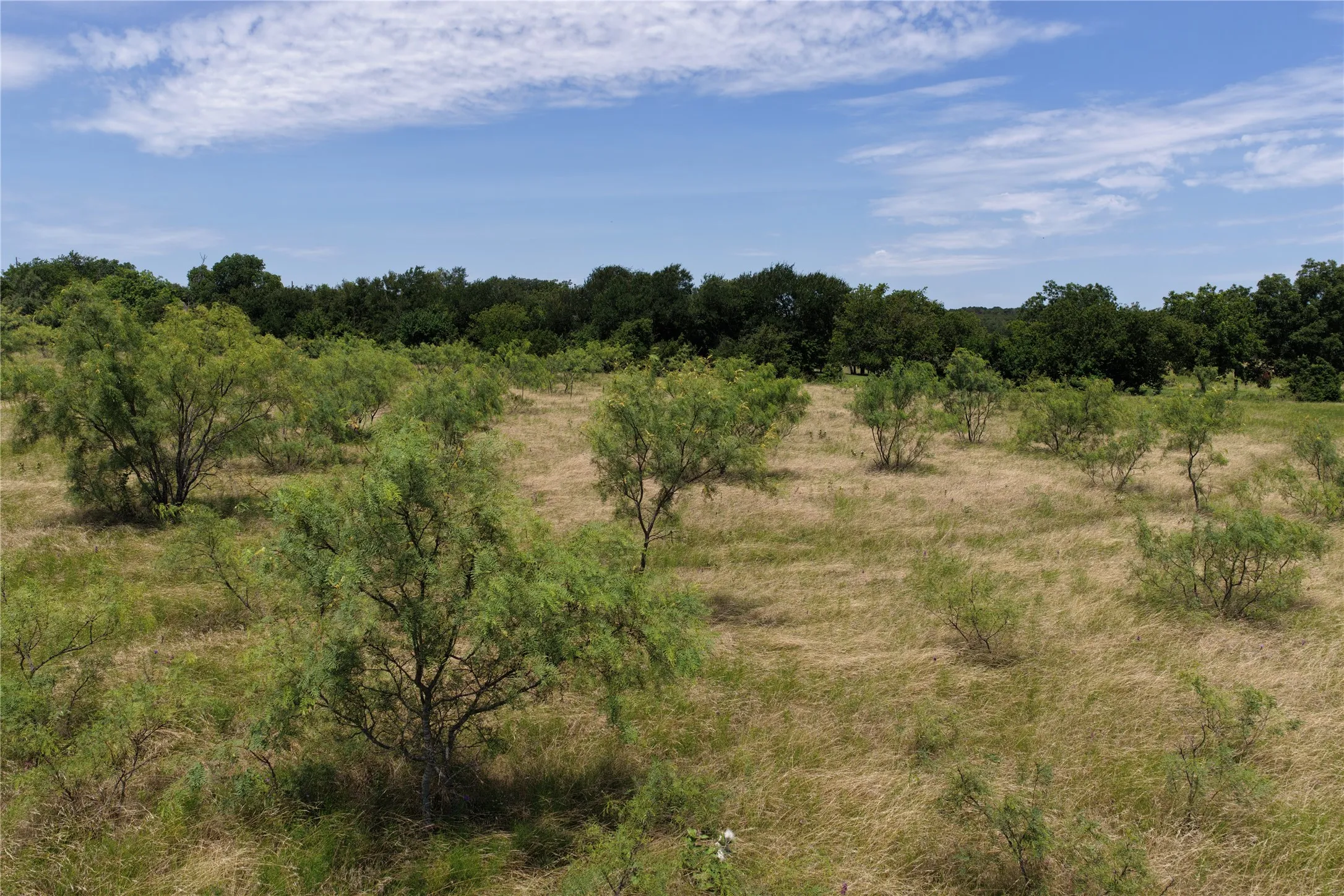 Unimproved Land For Sale in Comanche County , TBD County Road 284, Gustine, Texas 76455, 0, 0, Garage spaces, 0 Sqft, built in 0, mls#21322810, Real Estate Agent in Gustine, Homes For Sale in Comanche county, Homes For Sale in Gustine, Realtor in Gustine Texas, Real Estate Brokerage Independent Realty Texas, Luminita Cordes Realtor