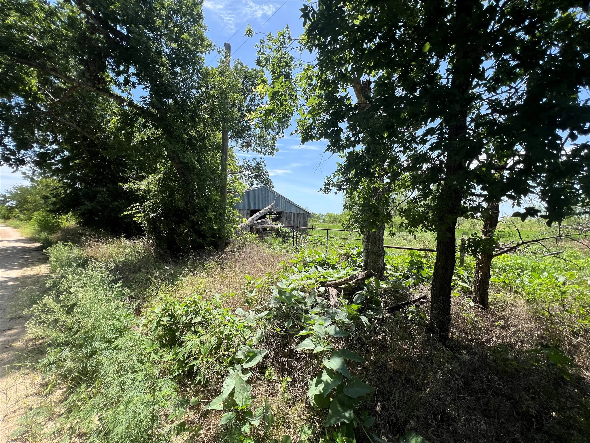 Unimproved Land For Sale in Comanche County , TBD County Road 284, Gustine, Texas 76455, 0, 0, Garage spaces, 0 Sqft, built in 0, mls#21322810, Real Estate Agent in Gustine, Homes For Sale in Comanche county, Homes For Sale in Gustine, Realtor in Gustine Texas, Real Estate Brokerage Independent Realty Texas, Luminita Cordes Realtor