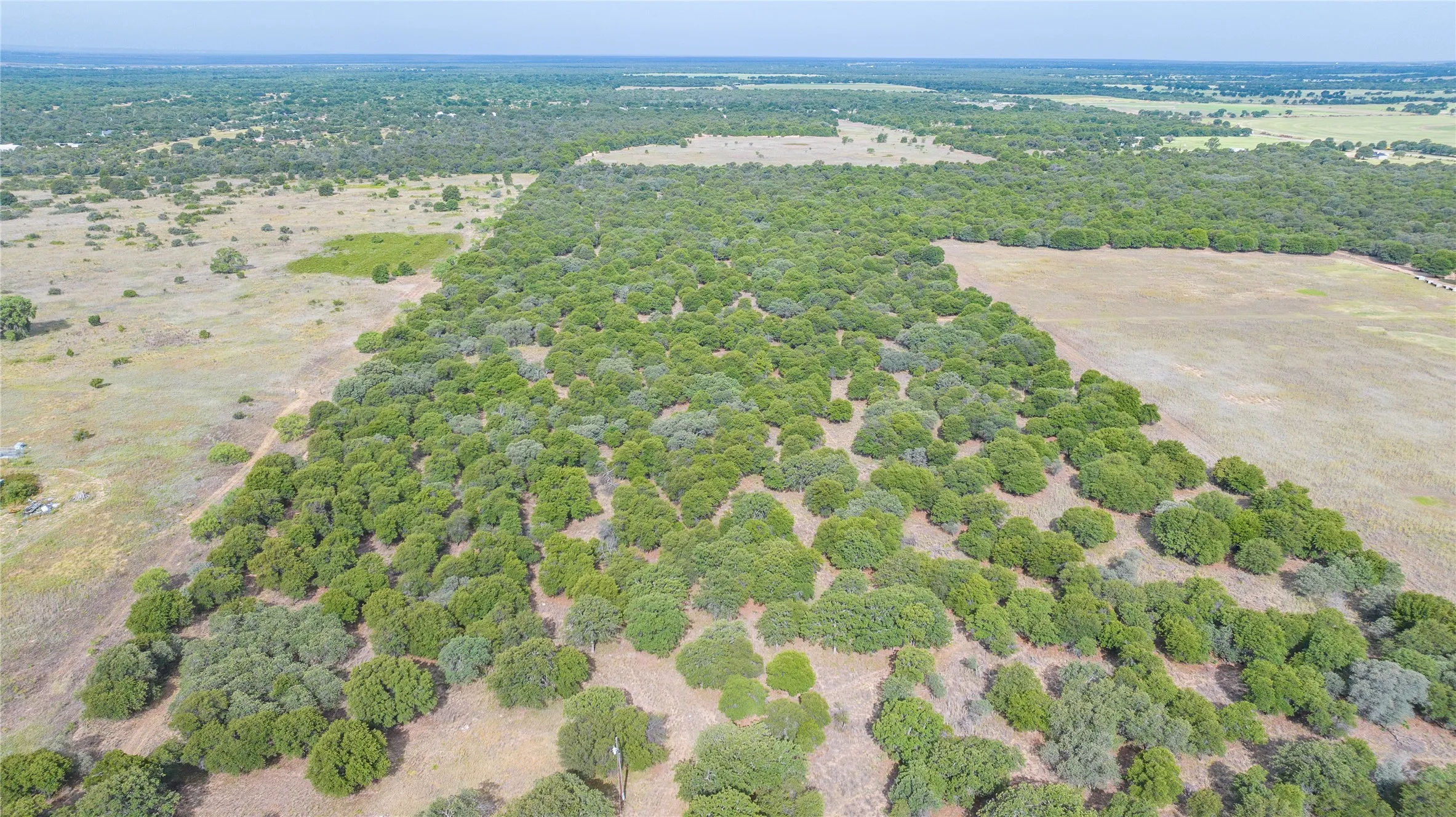 Unimproved Land For Sale in Jones County , TBD FM 3368 tract 2, Hawley, Texas 79525, 0, 0, Garage spaces, 0 Sqft, built in 0, mls#21322806, Real Estate Agent in Hawley, Homes For Sale in Jones county, Homes For Sale in Hawley, Realtor in Hawley Texas, Real Estate Brokerage Independent Realty Texas, Luminita Cordes Realtor