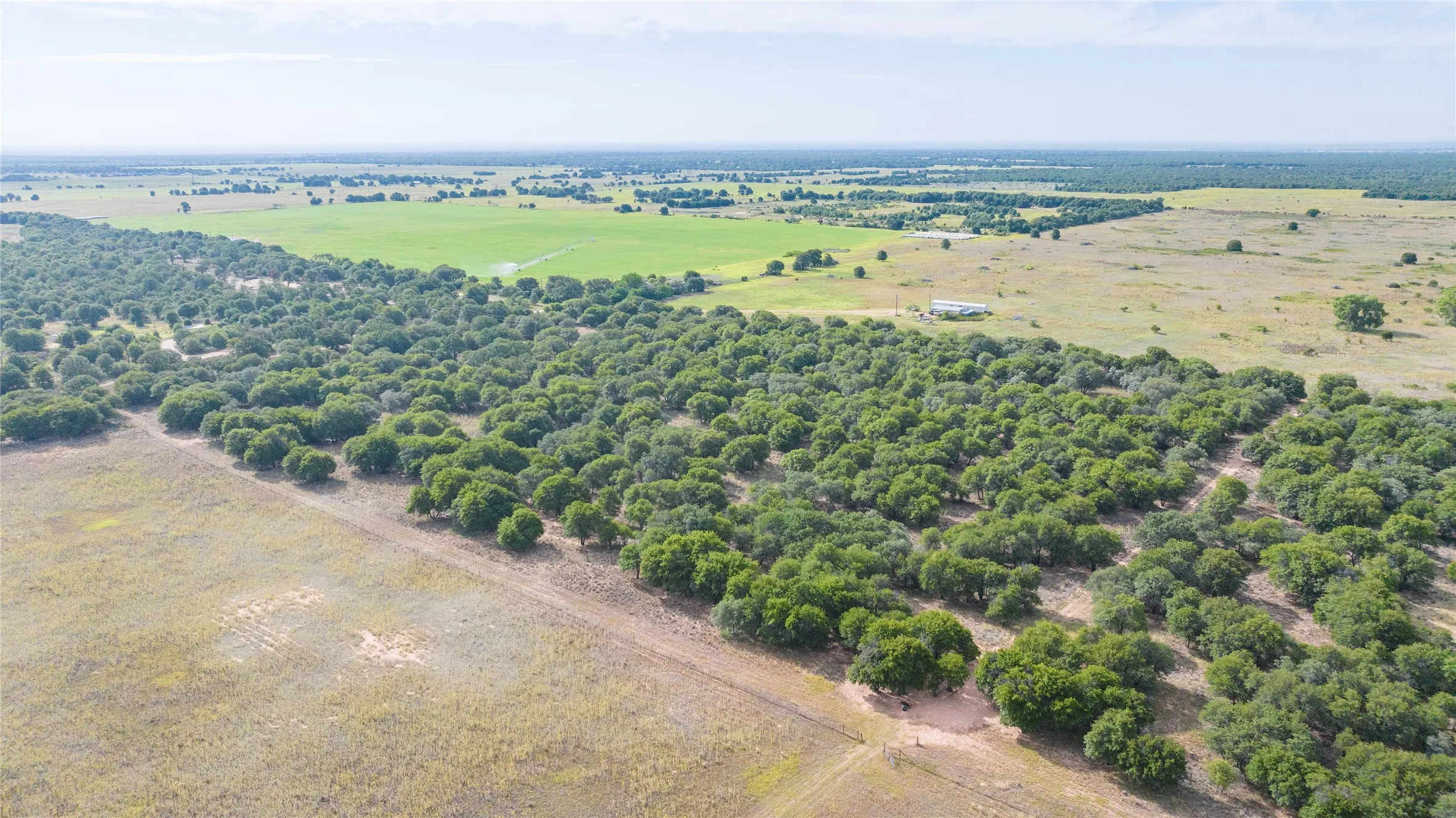 Unimproved Land For Sale in Jones County , TBD FM 3368 tract 2, Hawley, Texas 79525, 0, 0, Garage spaces, 0 Sqft, built in 0, mls#21322806, Real Estate Agent in Hawley, Homes For Sale in Jones county, Homes For Sale in Hawley, Realtor in Hawley Texas, Real Estate Brokerage Independent Realty Texas, Luminita Cordes Realtor