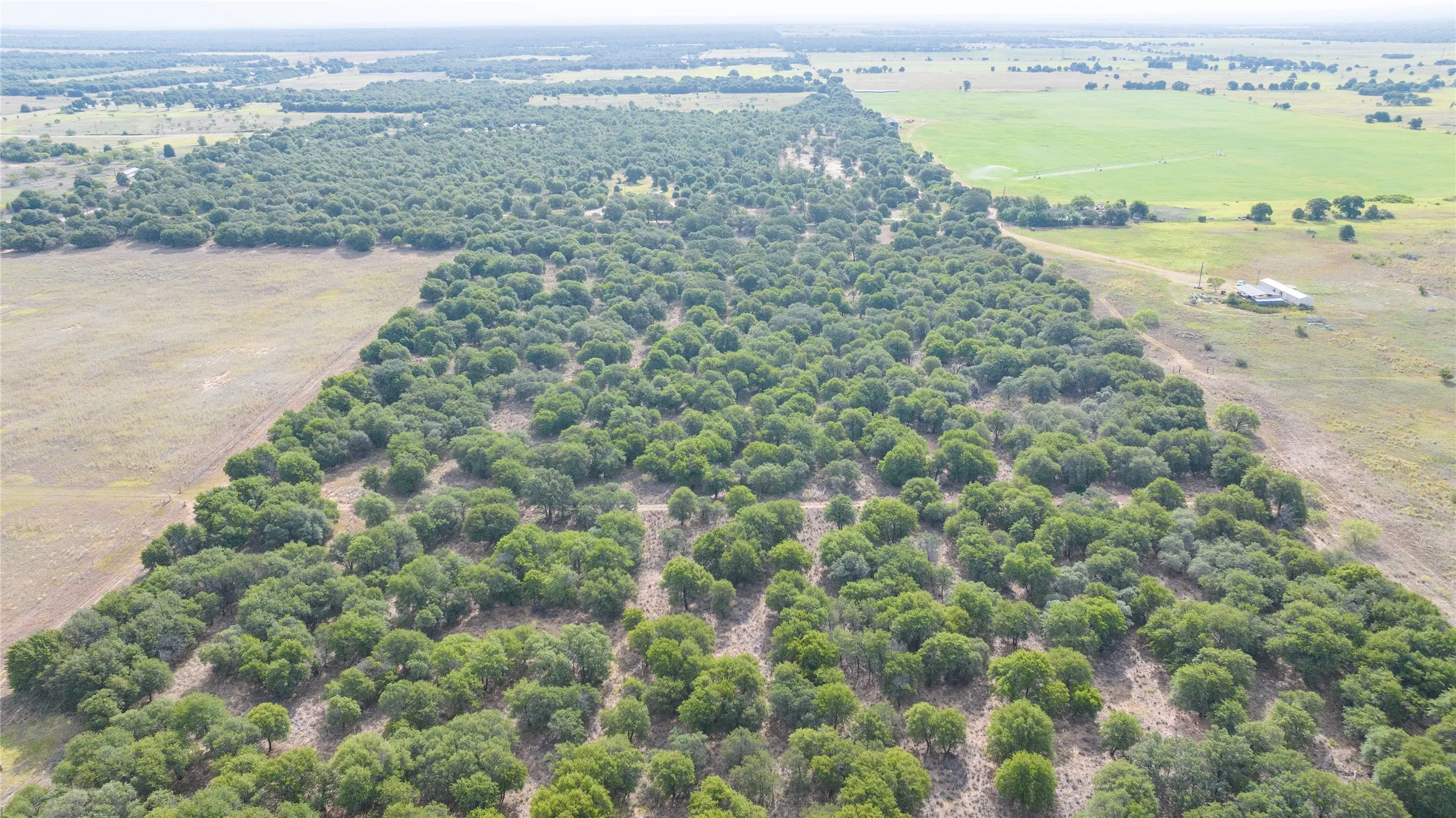 Unimproved Land For Sale in Jones County , TBD FM 3368 tract 2, Hawley, Texas 79525, 0, 0, Garage spaces, 0 Sqft, built in 0, mls#21322806, Real Estate Agent in Hawley, Homes For Sale in Jones county, Homes For Sale in Hawley, Realtor in Hawley Texas, Real Estate Brokerage Independent Realty Texas, Luminita Cordes Realtor
