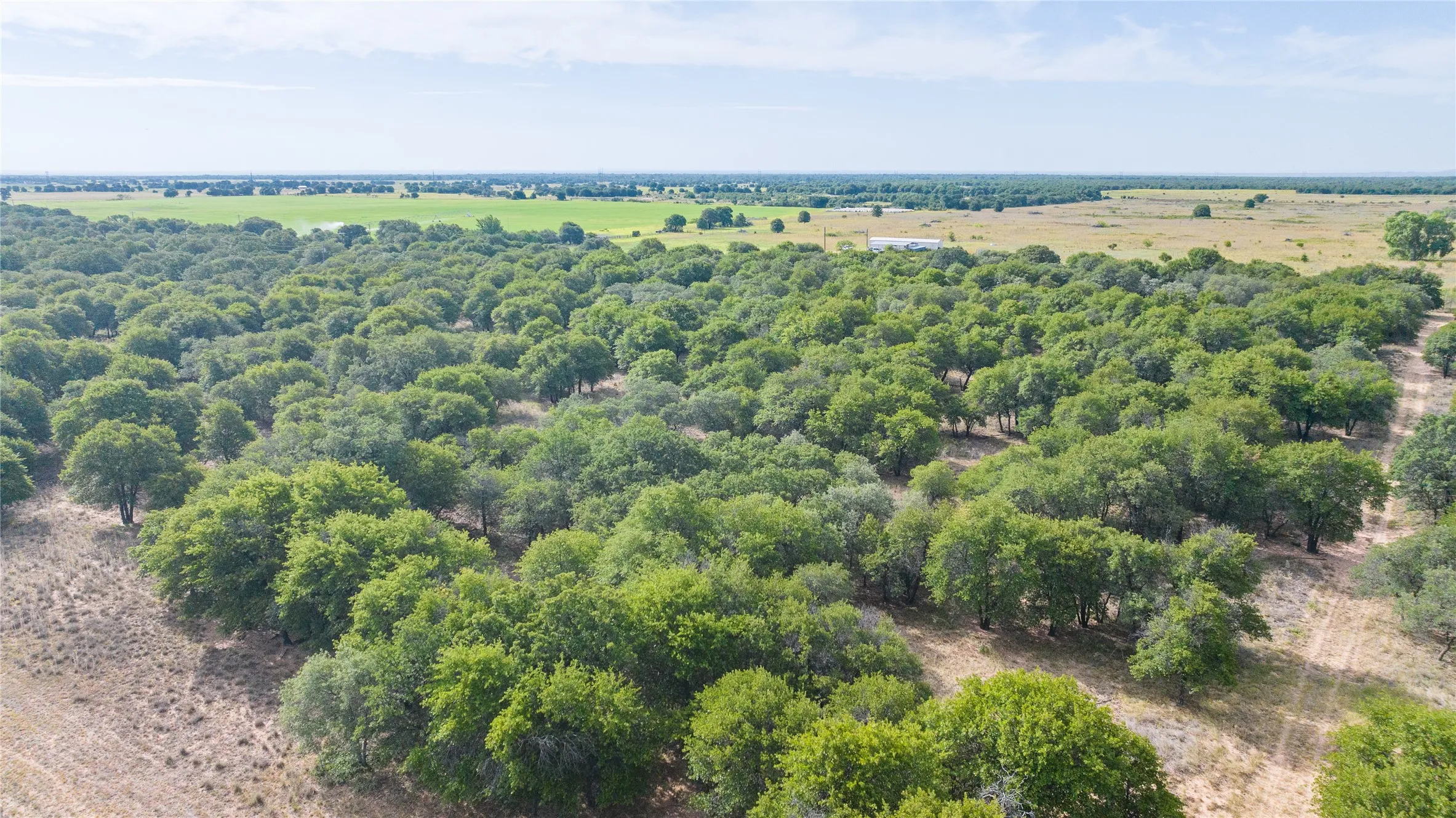 Unimproved Land For Sale in Jones County , TBD FM 3368 tract 2, Hawley, Texas 79525, 0, 0, Garage spaces, 0 Sqft, built in 0, mls#21322806, Real Estate Agent in Hawley, Homes For Sale in Jones county, Homes For Sale in Hawley, Realtor in Hawley Texas, Real Estate Brokerage Independent Realty Texas, Luminita Cordes Realtor