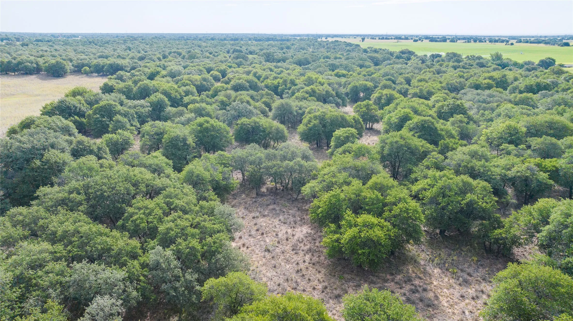 Unimproved Land For Sale in Jones County , TBD FM 3368 tract 2, Hawley, Texas 79525, 0, 0, Garage spaces, 0 Sqft, built in 0, mls#21322806, Real Estate Agent in Hawley, Homes For Sale in Jones county, Homes For Sale in Hawley, Realtor in Hawley Texas, Real Estate Brokerage Independent Realty Texas, Luminita Cordes Realtor
