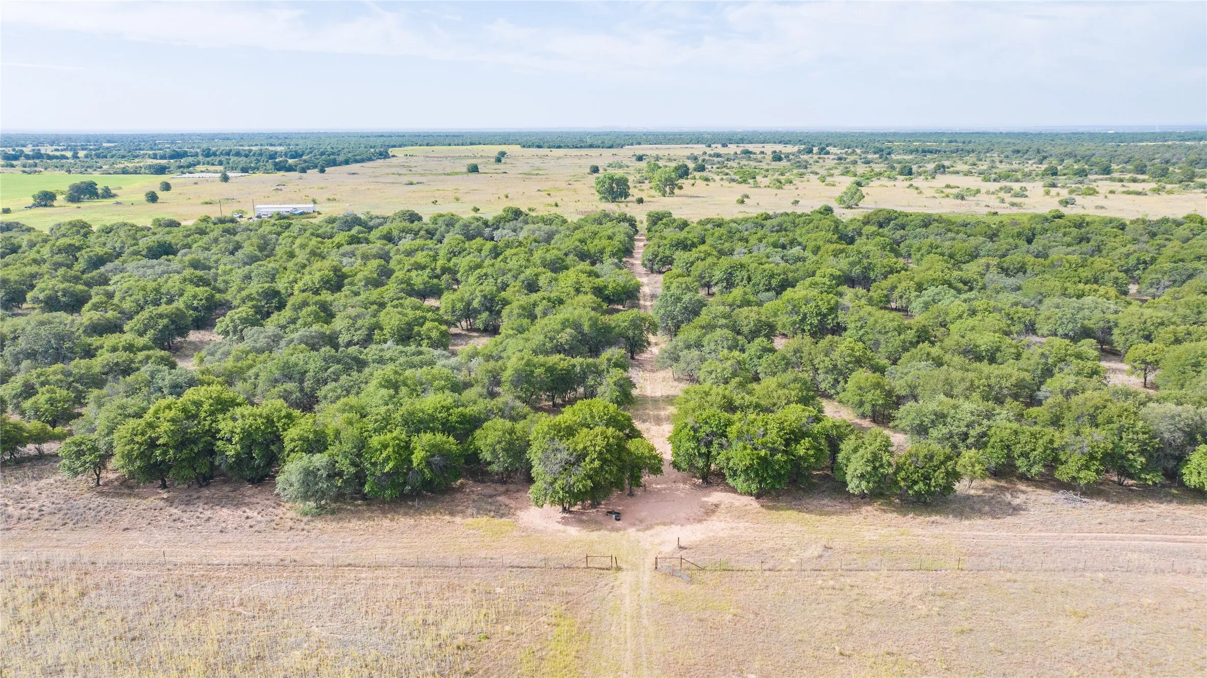 Unimproved Land For Sale in Jones County , TBD FM 3368 tract 2, Hawley, Texas 79525, 0, 0, Garage spaces, 0 Sqft, built in 0, mls#21322806, Real Estate Agent in Hawley, Homes For Sale in Jones county, Homes For Sale in Hawley, Realtor in Hawley Texas, Real Estate Brokerage Independent Realty Texas, Luminita Cordes Realtor