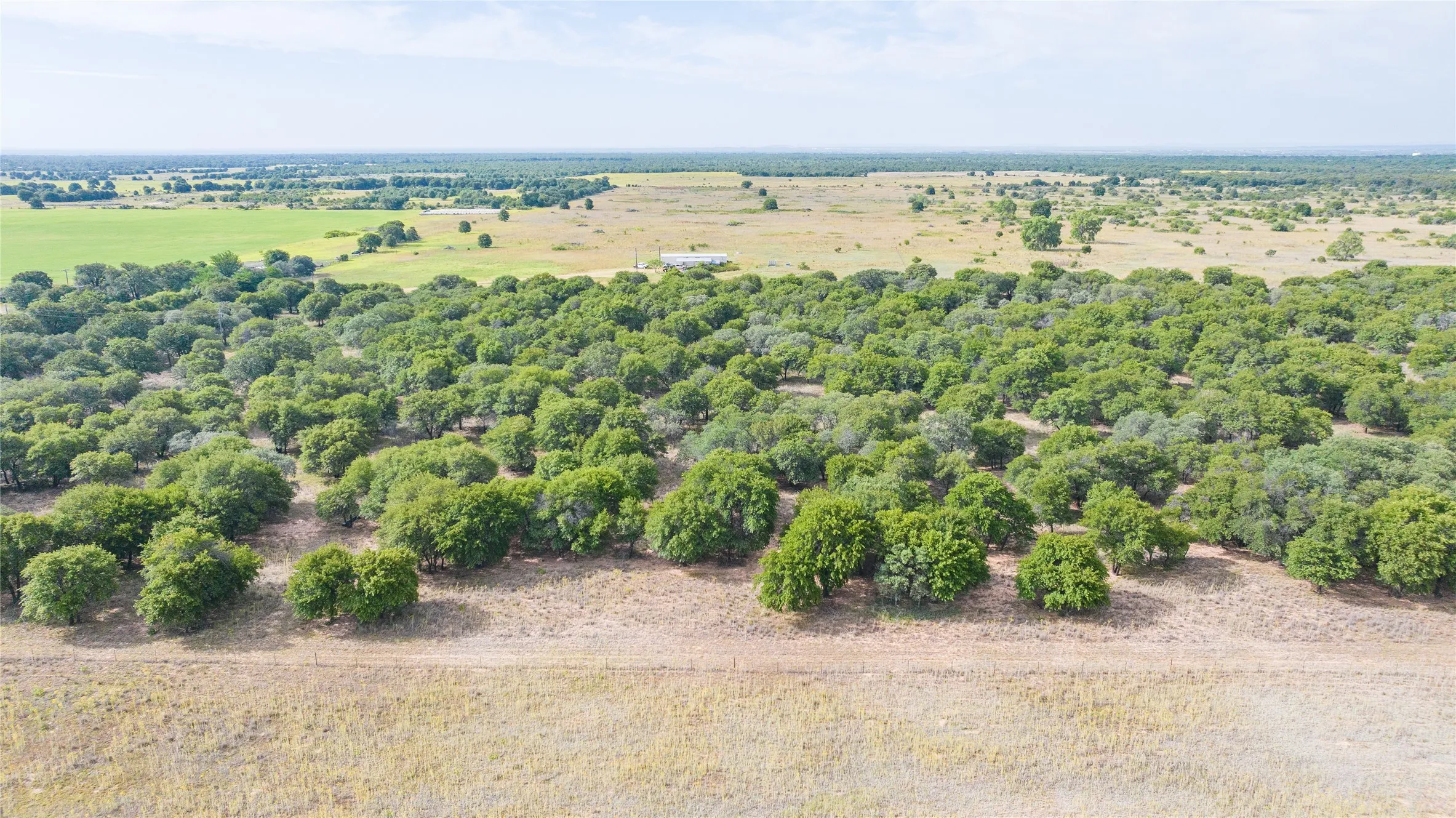 Unimproved Land For Sale in Jones County , TBD FM 3368 tract 2, Hawley, Texas 79525, 0, 0, Garage spaces, 0 Sqft, built in 0, mls#21322806, Real Estate Agent in Hawley, Homes For Sale in Jones county, Homes For Sale in Hawley, Realtor in Hawley Texas, Real Estate Brokerage Independent Realty Texas, Luminita Cordes Realtor