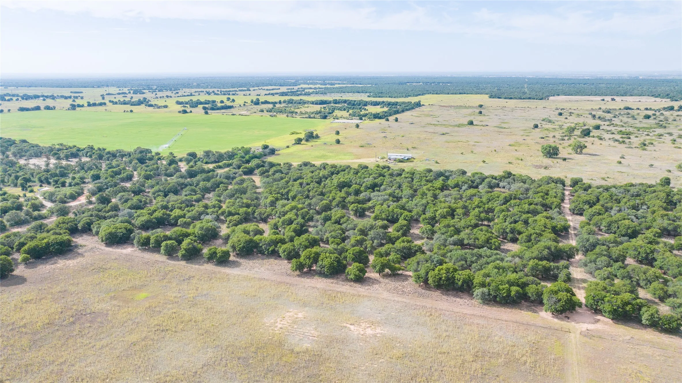 Unimproved Land For Sale in Jones County , TBD FM 3368 tract 2, Hawley, Texas 79525, 0, 0, Garage spaces, 0 Sqft, built in 0, mls#21322806, Real Estate Agent in Hawley, Homes For Sale in Jones county, Homes For Sale in Hawley, Realtor in Hawley Texas, Real Estate Brokerage Independent Realty Texas, Luminita Cordes Realtor