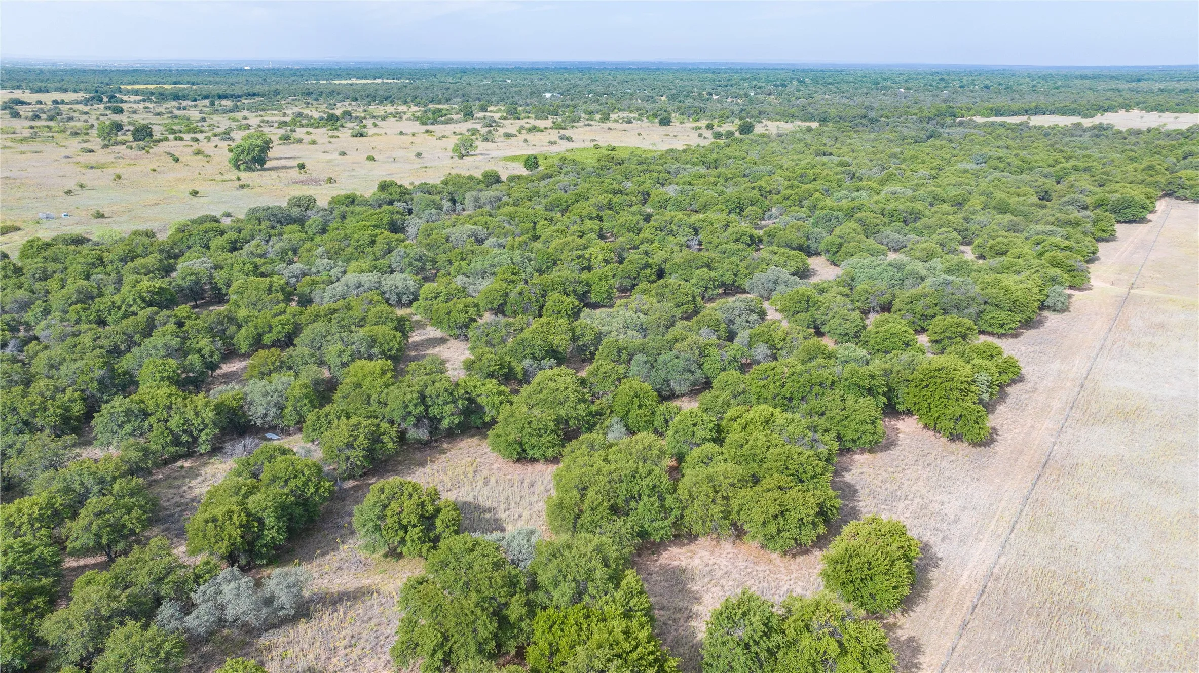 Unimproved Land For Sale in Jones County , TBD FM 3368 tract 2, Hawley, Texas 79525, 0, 0, Garage spaces, 0 Sqft, built in 0, mls#21322806, Real Estate Agent in Hawley, Homes For Sale in Jones county, Homes For Sale in Hawley, Realtor in Hawley Texas, Real Estate Brokerage Independent Realty Texas, Luminita Cordes Realtor