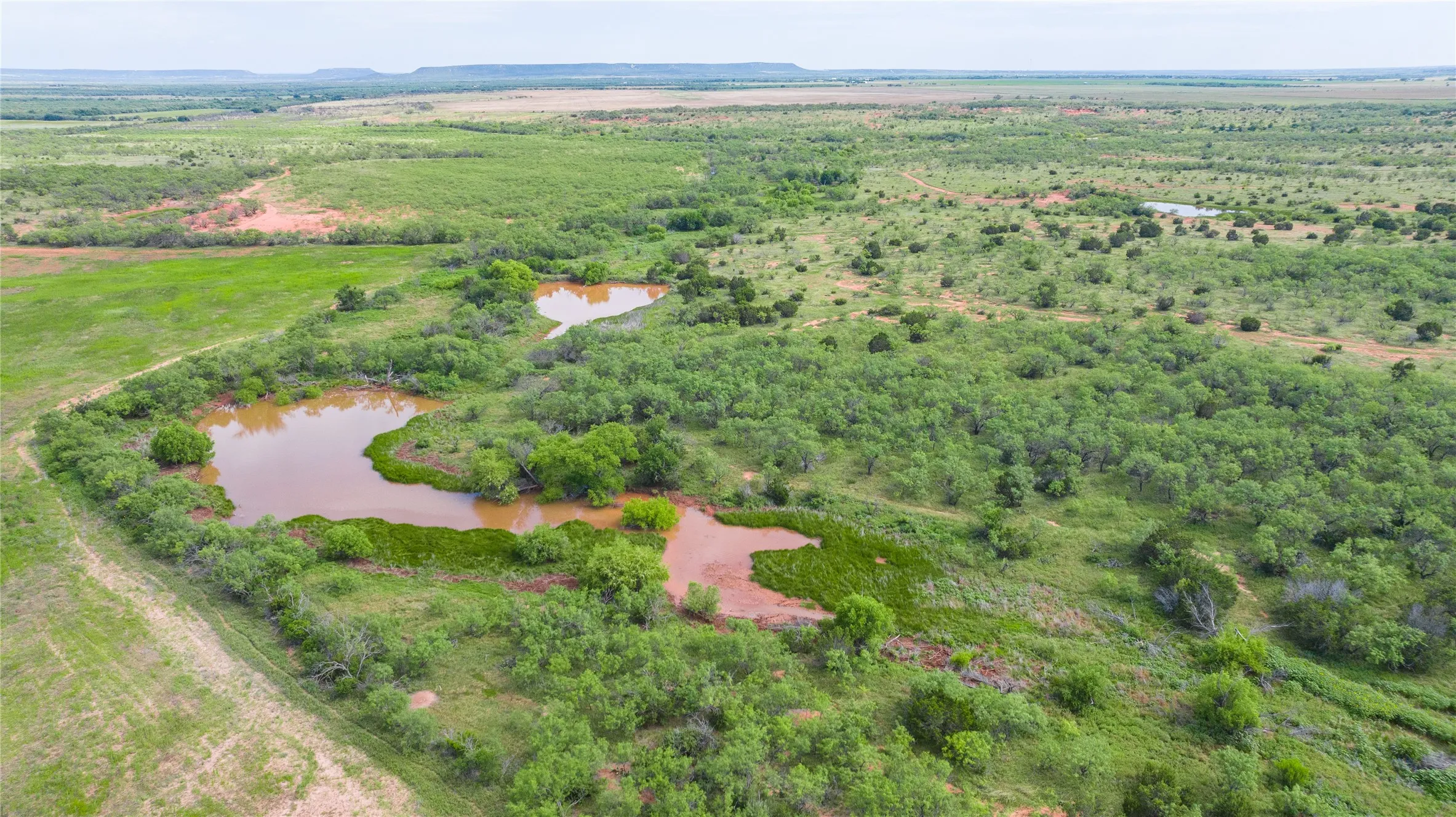 Ranch For Sale in Taylor County , TBD Track 2 County Road 205, Ovalo, Texas 79541, 0, 0, Garage spaces, 0 Sqft, built in 0, Price $2,300,000, mls#21318244, Real Estate Agent in Ovalo, Homes For Sale in Taylor county, Homes For Sale in Ovalo, Realtor in Ovalo Texas, Real Estate Brokerage Independent Realty Texas, Luminita Cordes Realtor