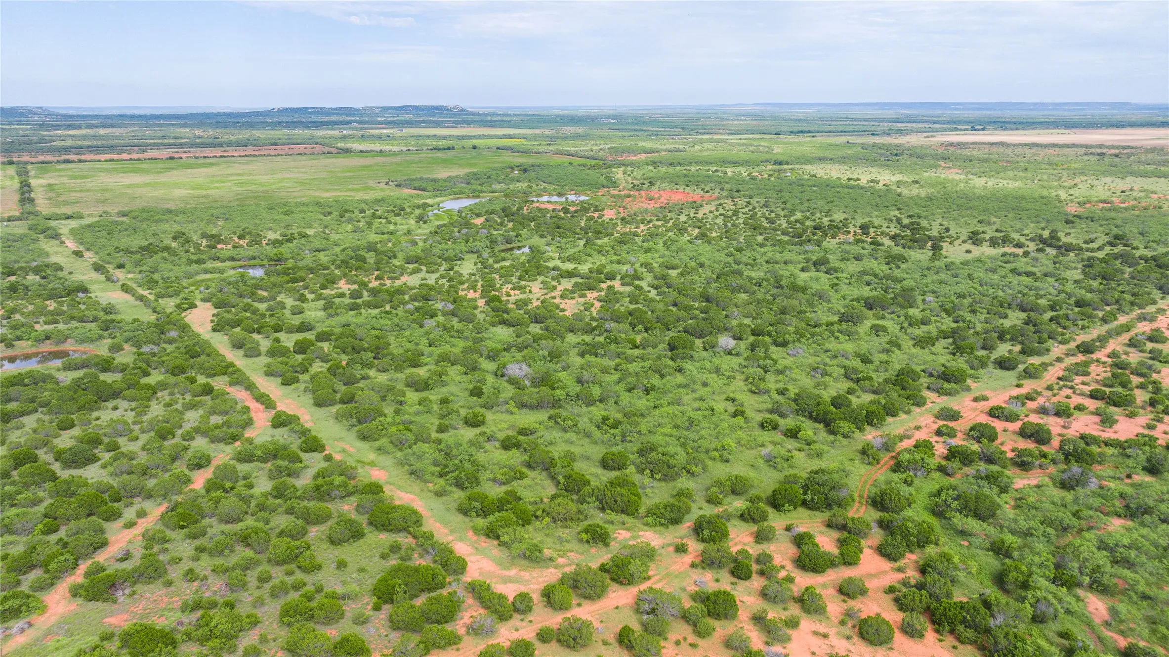 Ranch For Sale in Taylor County , TBD Track 2 County Road 205, Ovalo, Texas 79541, 0, 0, Garage spaces, 0 Sqft, built in 0, Price $2,300,000, mls#21318244, Real Estate Agent in Ovalo, Homes For Sale in Taylor county, Homes For Sale in Ovalo, Realtor in Ovalo Texas, Real Estate Brokerage Independent Realty Texas, Luminita Cordes Realtor