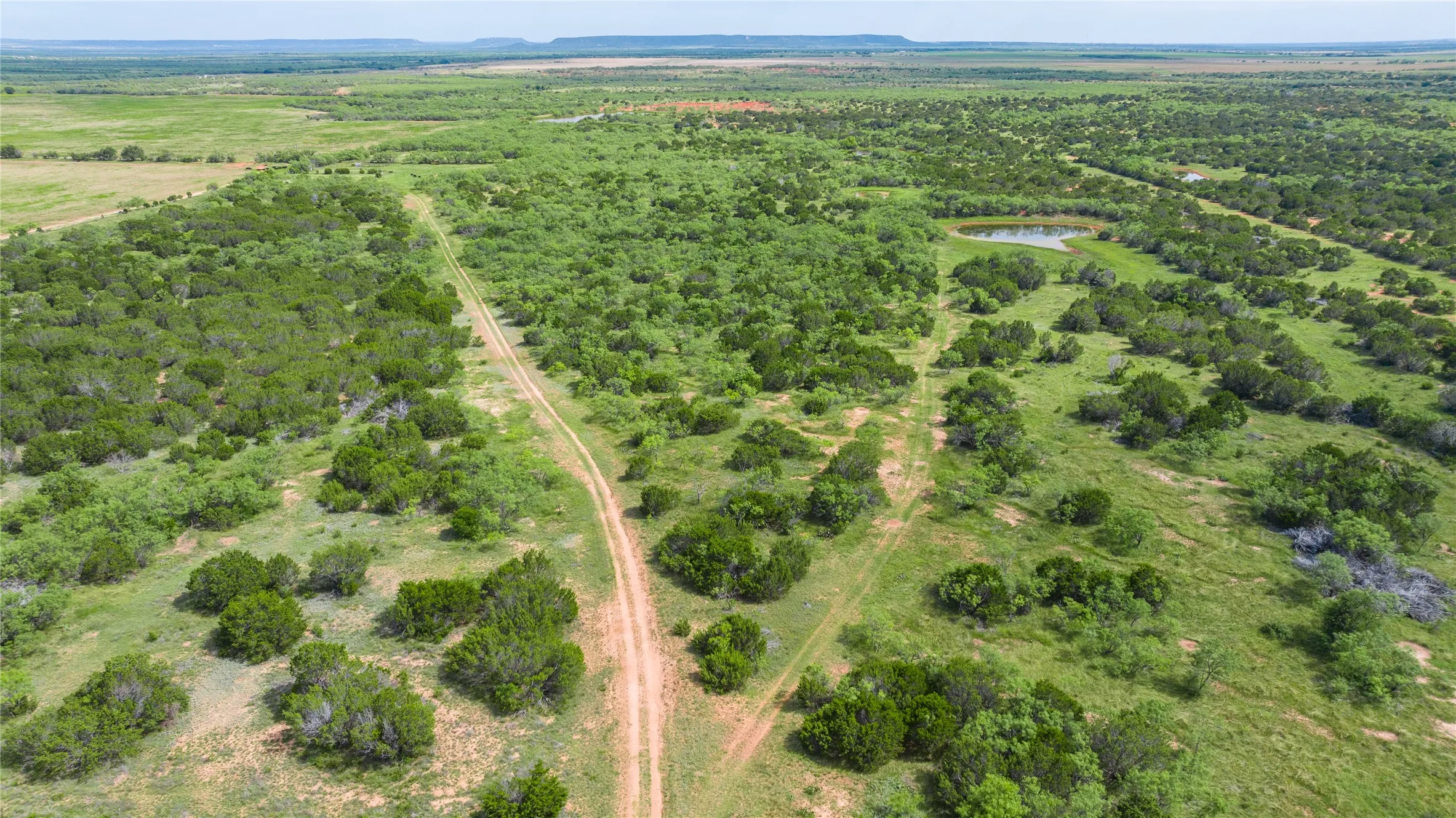 Ranch For Sale in Taylor County , TBD Track 2 County Road 205, Ovalo, Texas 79541, 0, 0, Garage spaces, 0 Sqft, built in 0, Price $2,300,000, mls#21318244, Real Estate Agent in Ovalo, Homes For Sale in Taylor county, Homes For Sale in Ovalo, Realtor in Ovalo Texas, Real Estate Brokerage Independent Realty Texas, Luminita Cordes Realtor