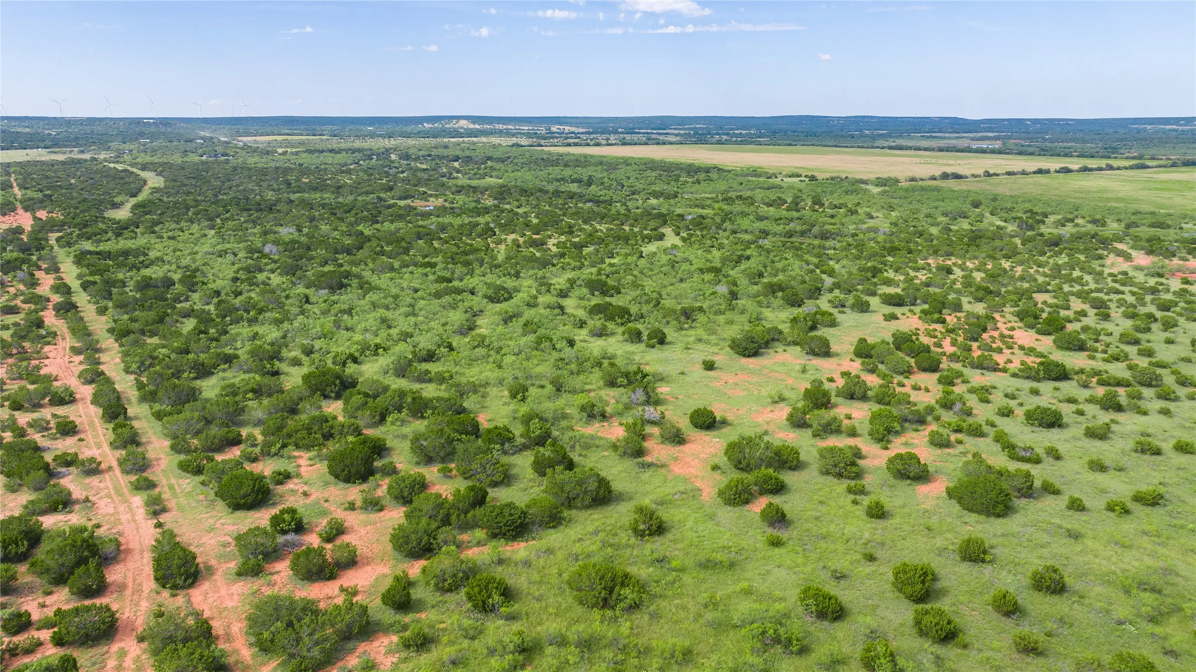 Ranch For Sale in Taylor County , TBD Track 2 County Road 205, Ovalo, Texas 79541, 0, 0, Garage spaces, 0 Sqft, built in 0, Price $2,300,000, mls#21318244, Real Estate Agent in Ovalo, Homes For Sale in Taylor county, Homes For Sale in Ovalo, Realtor in Ovalo Texas, Real Estate Brokerage Independent Realty Texas, Luminita Cordes Realtor