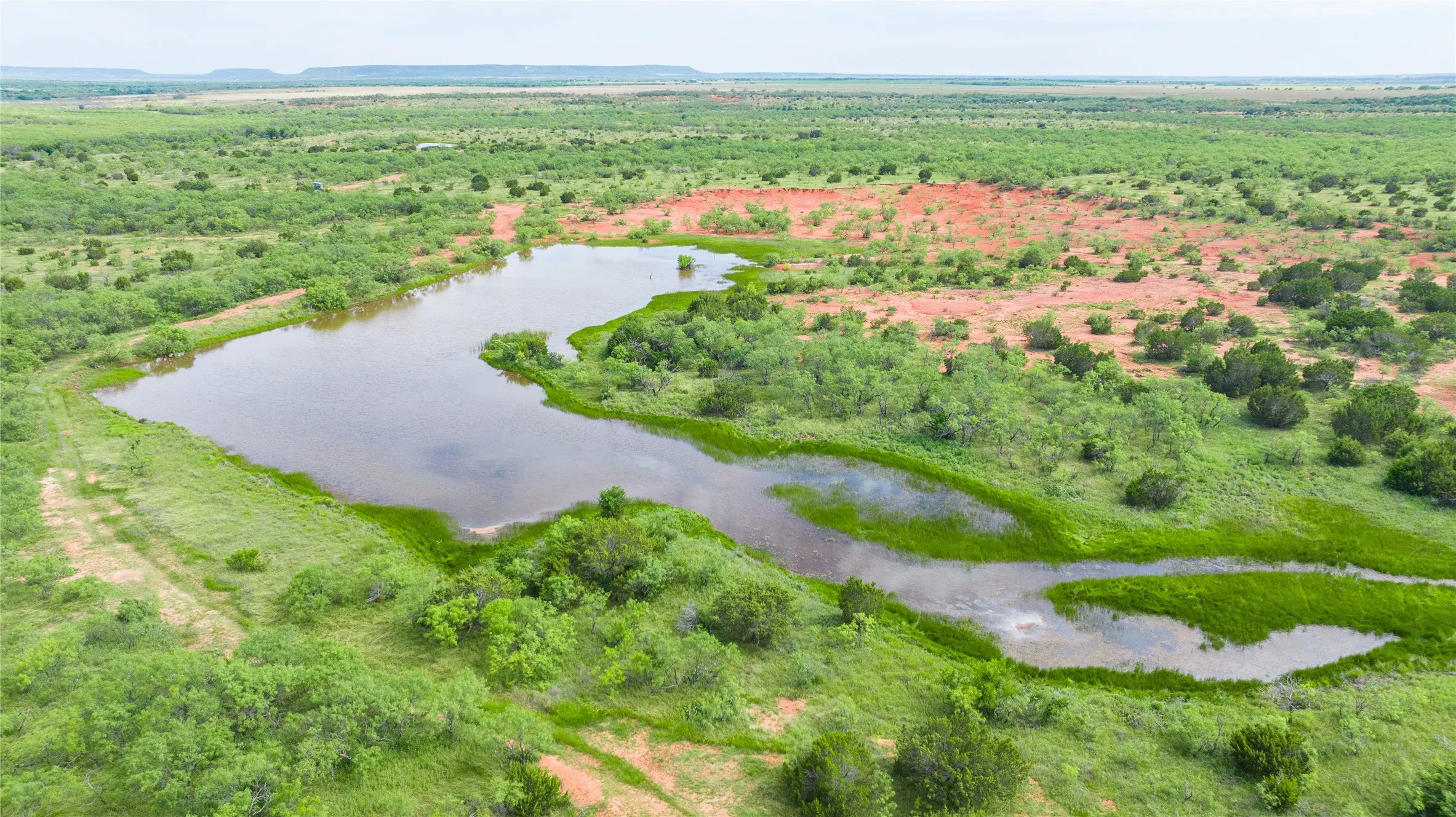 Ranch For Sale in Taylor County , TBD Track 2 County Road 205, Ovalo, Texas 79541, 0, 0, Garage spaces, 0 Sqft, built in 0, Price $2,300,000, mls#21318244, Real Estate Agent in Ovalo, Homes For Sale in Taylor county, Homes For Sale in Ovalo, Realtor in Ovalo Texas, Real Estate Brokerage Independent Realty Texas, Luminita Cordes Realtor