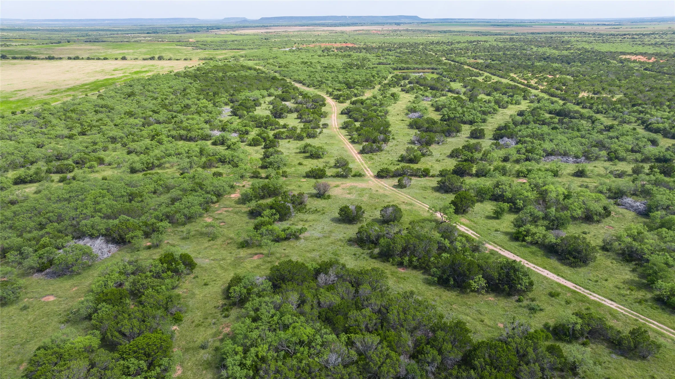 Ranch For Sale in Taylor County , TBD Track 2 County Road 205, Ovalo, Texas 79541, 0, 0, Garage spaces, 0 Sqft, built in 0, Price $2,300,000, mls#21318244, Real Estate Agent in Ovalo, Homes For Sale in Taylor county, Homes For Sale in Ovalo, Realtor in Ovalo Texas, Real Estate Brokerage Independent Realty Texas, Luminita Cordes Realtor
