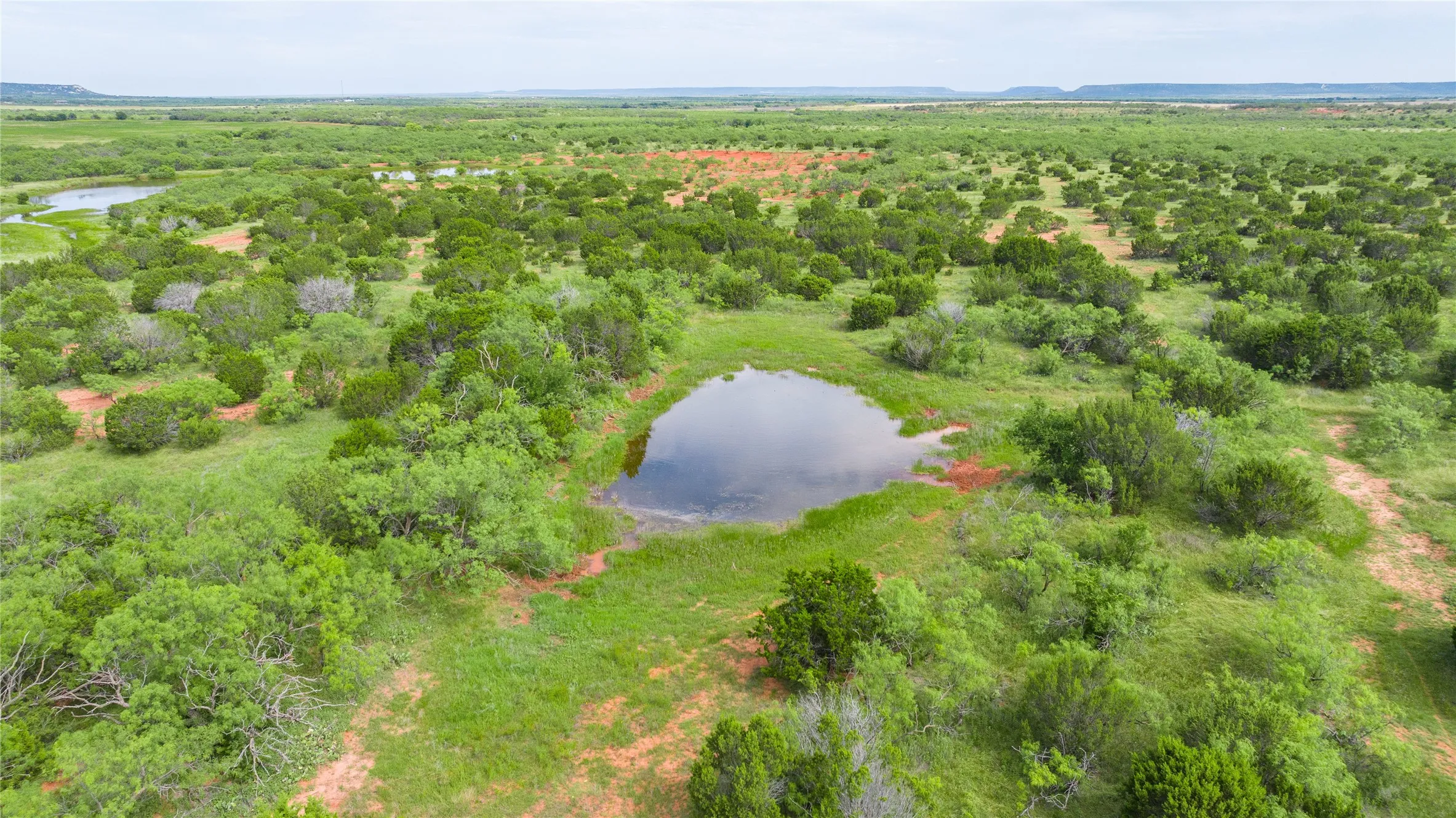 Ranch For Sale in Taylor County , TBD Track 2 County Road 205, Ovalo, Texas 79541, 0, 0, Garage spaces, 0 Sqft, built in 0, Price $2,300,000, mls#21318244, Real Estate Agent in Ovalo, Homes For Sale in Taylor county, Homes For Sale in Ovalo, Realtor in Ovalo Texas, Real Estate Brokerage Independent Realty Texas, Luminita Cordes Realtor