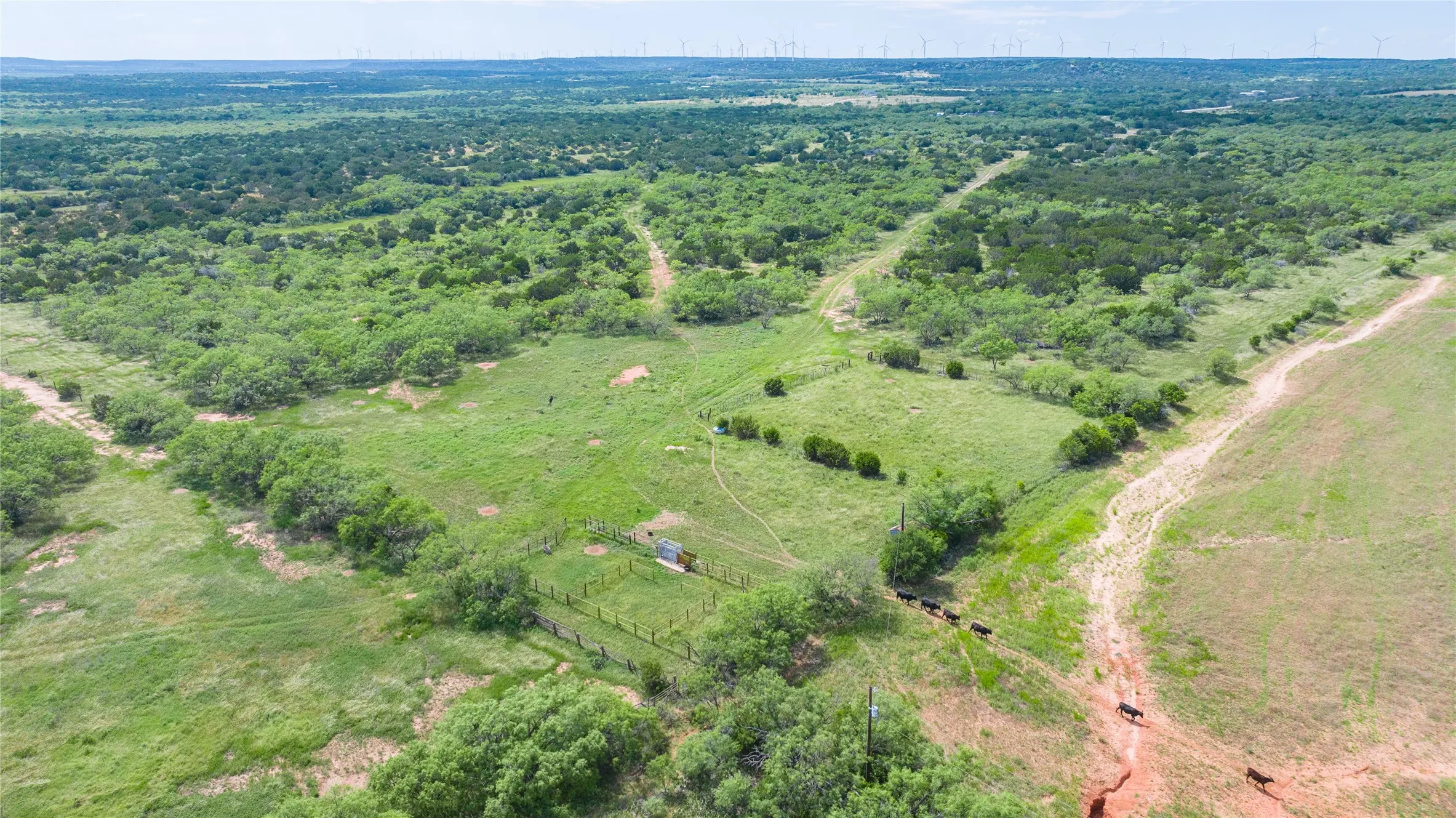 Ranch For Sale in Taylor County , TBD Track 2 County Road 205, Ovalo, Texas 79541, 0, 0, Garage spaces, 0 Sqft, built in 0, Price $2,300,000, mls#21318244, Real Estate Agent in Ovalo, Homes For Sale in Taylor county, Homes For Sale in Ovalo, Realtor in Ovalo Texas, Real Estate Brokerage Independent Realty Texas, Luminita Cordes Realtor