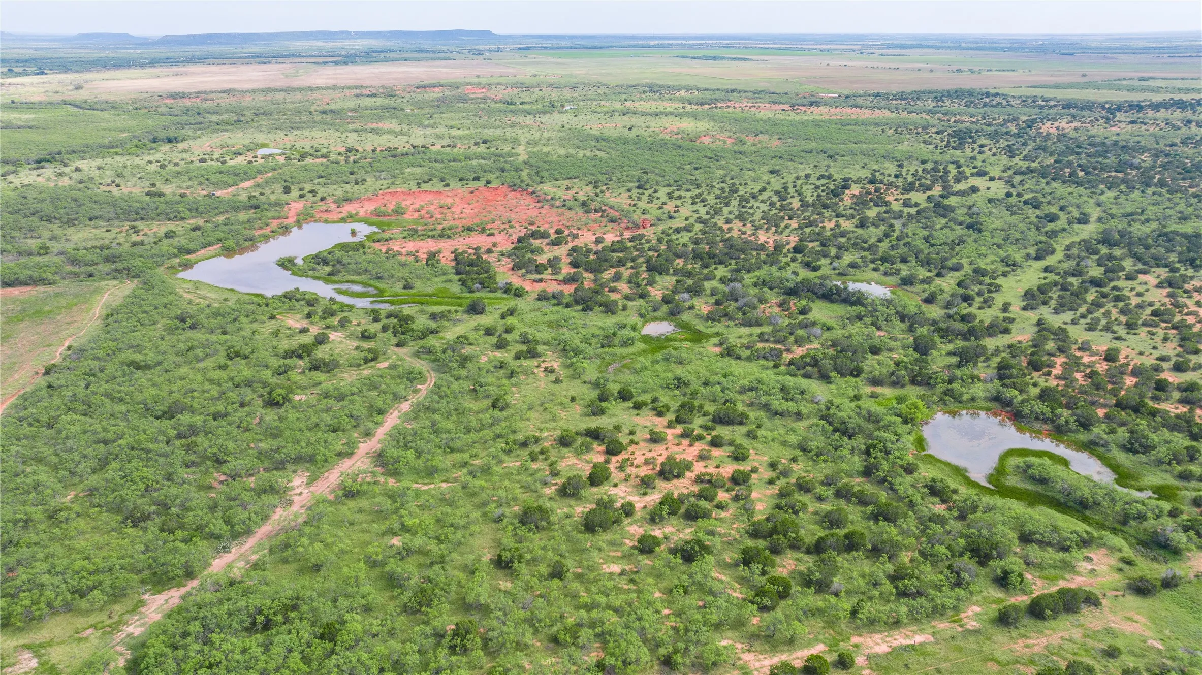 Ranch For Sale in Taylor County , TBD Track 2 County Road 205, Ovalo, Texas 79541, 0, 0, Garage spaces, 0 Sqft, built in 0, Price $2,300,000, mls#21318244, Real Estate Agent in Ovalo, Homes For Sale in Taylor county, Homes For Sale in Ovalo, Realtor in Ovalo Texas, Real Estate Brokerage Independent Realty Texas, Luminita Cordes Realtor