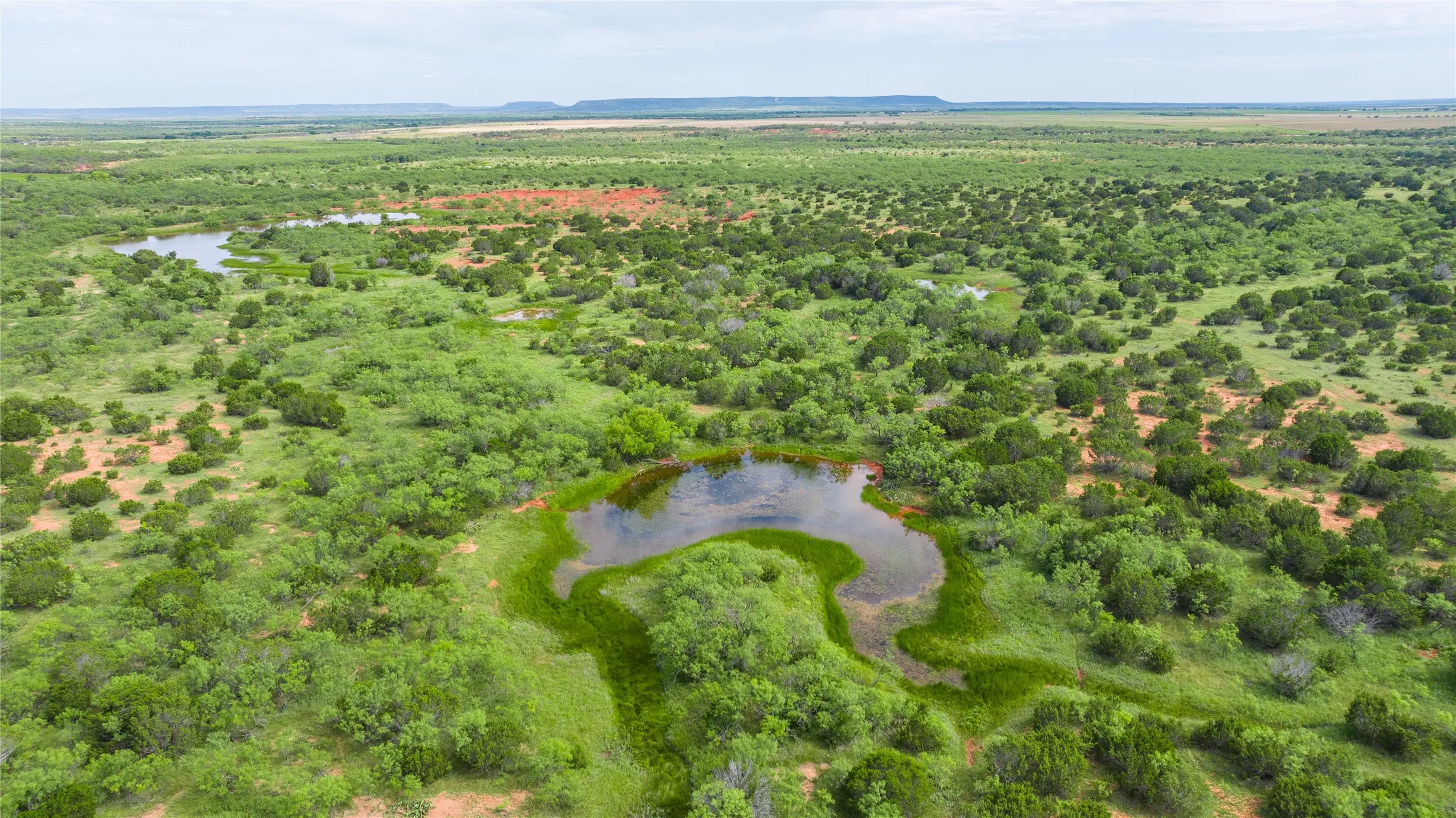 Ranch For Sale in Taylor County , TBD Track 2 County Road 205, Ovalo, Texas 79541, 0, 0, Garage spaces, 0 Sqft, built in 0, Price $2,300,000, mls#21318244, Real Estate Agent in Ovalo, Homes For Sale in Taylor county, Homes For Sale in Ovalo, Realtor in Ovalo Texas, Real Estate Brokerage Independent Realty Texas, Luminita Cordes Realtor