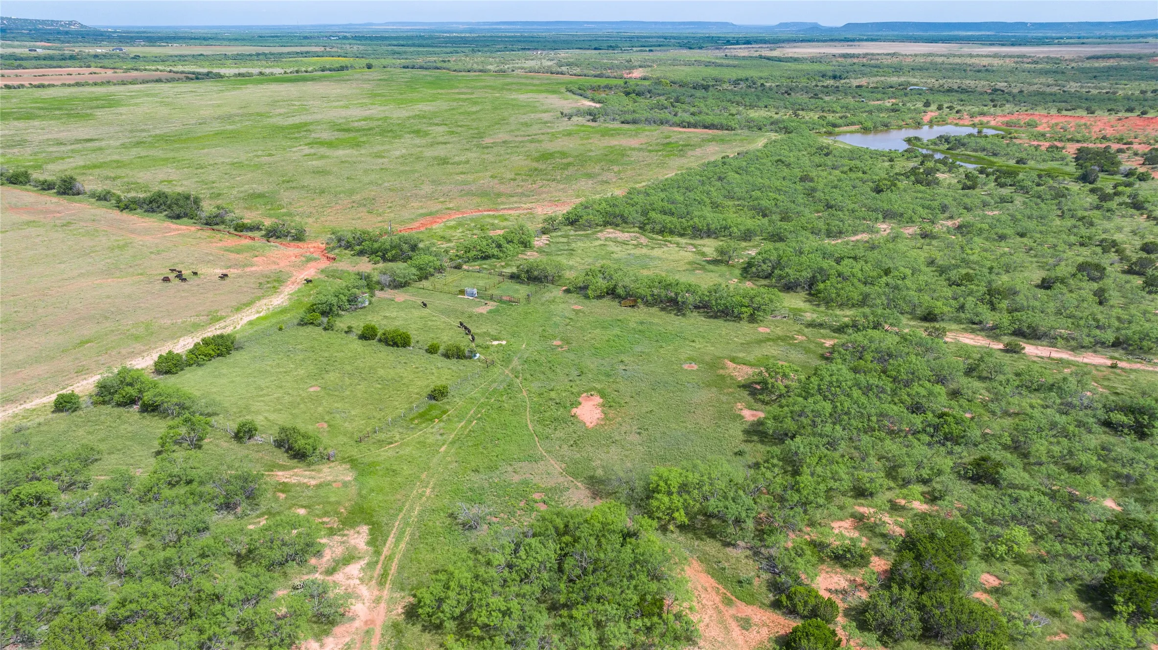 Ranch For Sale in Taylor County , TBD Track 2 County Road 205, Ovalo, Texas 79541, 0, 0, Garage spaces, 0 Sqft, built in 0, Price $2,300,000, mls#21318244, Real Estate Agent in Ovalo, Homes For Sale in Taylor county, Homes For Sale in Ovalo, Realtor in Ovalo Texas, Real Estate Brokerage Independent Realty Texas, Luminita Cordes Realtor