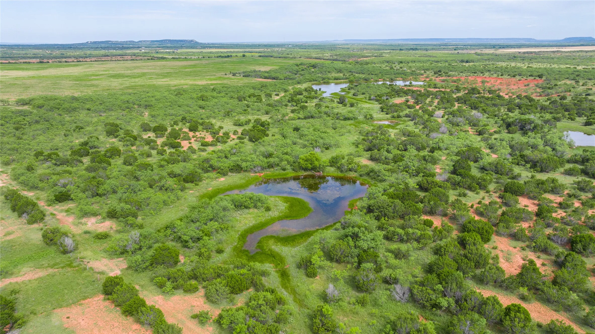 Ranch For Sale in Taylor County , TBD Track 2 County Road 205, Ovalo, Texas 79541, 0, 0, Garage spaces, 0 Sqft, built in 0, Price $2,300,000, mls#21318244, Real Estate Agent in Ovalo, Homes For Sale in Taylor county, Homes For Sale in Ovalo, Realtor in Ovalo Texas, Real Estate Brokerage Independent Realty Texas, Luminita Cordes Realtor