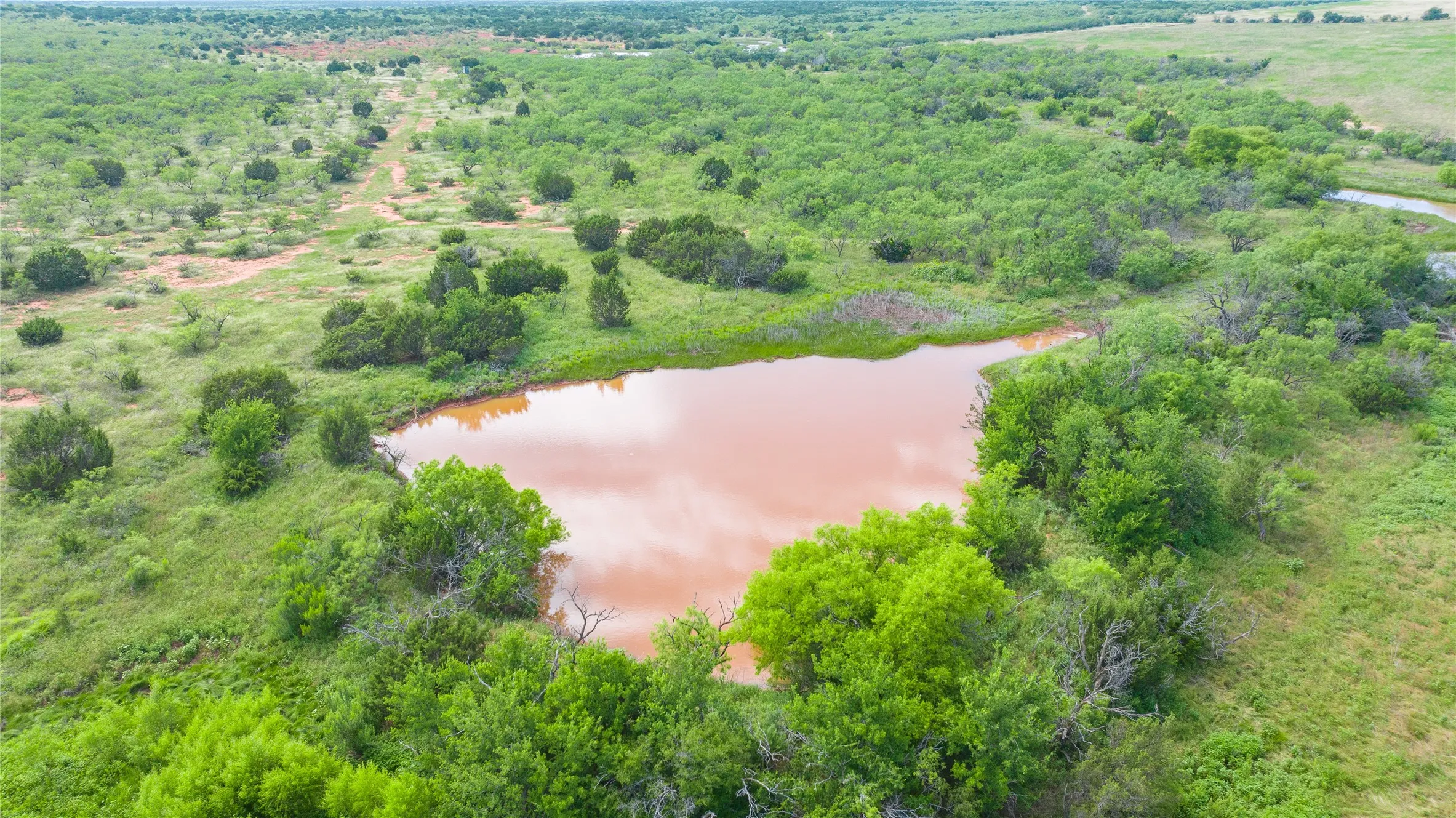 Ranch For Sale in Taylor County , TBD Track 2 County Road 205, Ovalo, Texas 79541, 0, 0, Garage spaces, 0 Sqft, built in 0, Price $2,300,000, mls#21318244, Real Estate Agent in Ovalo, Homes For Sale in Taylor county, Homes For Sale in Ovalo, Realtor in Ovalo Texas, Real Estate Brokerage Independent Realty Texas, Luminita Cordes Realtor