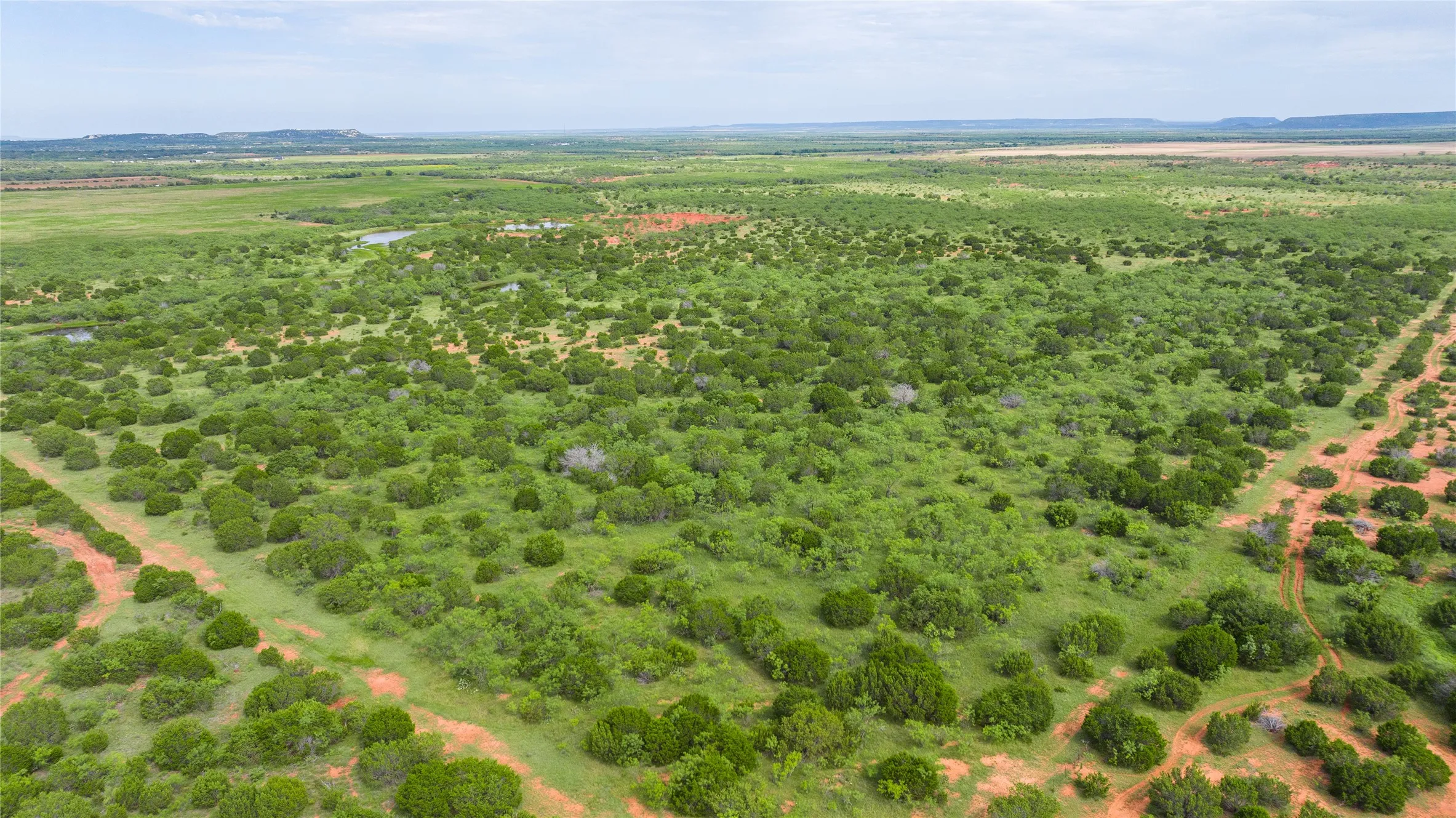 Ranch For Sale in Taylor County , TBD Track 2 County Road 205, Ovalo, Texas 79541, 0, 0, Garage spaces, 0 Sqft, built in 0, Price $2,300,000, mls#21318244, Real Estate Agent in Ovalo, Homes For Sale in Taylor county, Homes For Sale in Ovalo, Realtor in Ovalo Texas, Real Estate Brokerage Independent Realty Texas, Luminita Cordes Realtor