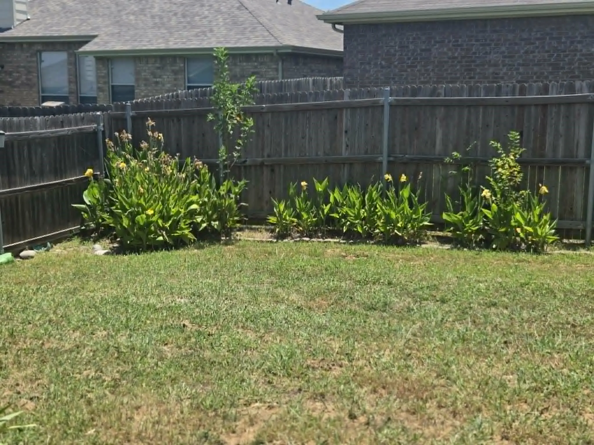 Single Family Residence For Sale in Tarrant County , 2009 Wahoo Drive, Mansfield, Texas 76063, 3 Bedroom, 2 Bathroom, 2 Garage spaces, 1,407 Sqft, built in 2003, mls#21322254, Real Estate Agent in Mansfield, Homes For Sale in Tarrant county, Homes For Sale in Mansfield, Realtor in Mansfield Texas, Real Estate Brokerage Independent Realty Texas, Luminita Cordes Realtor