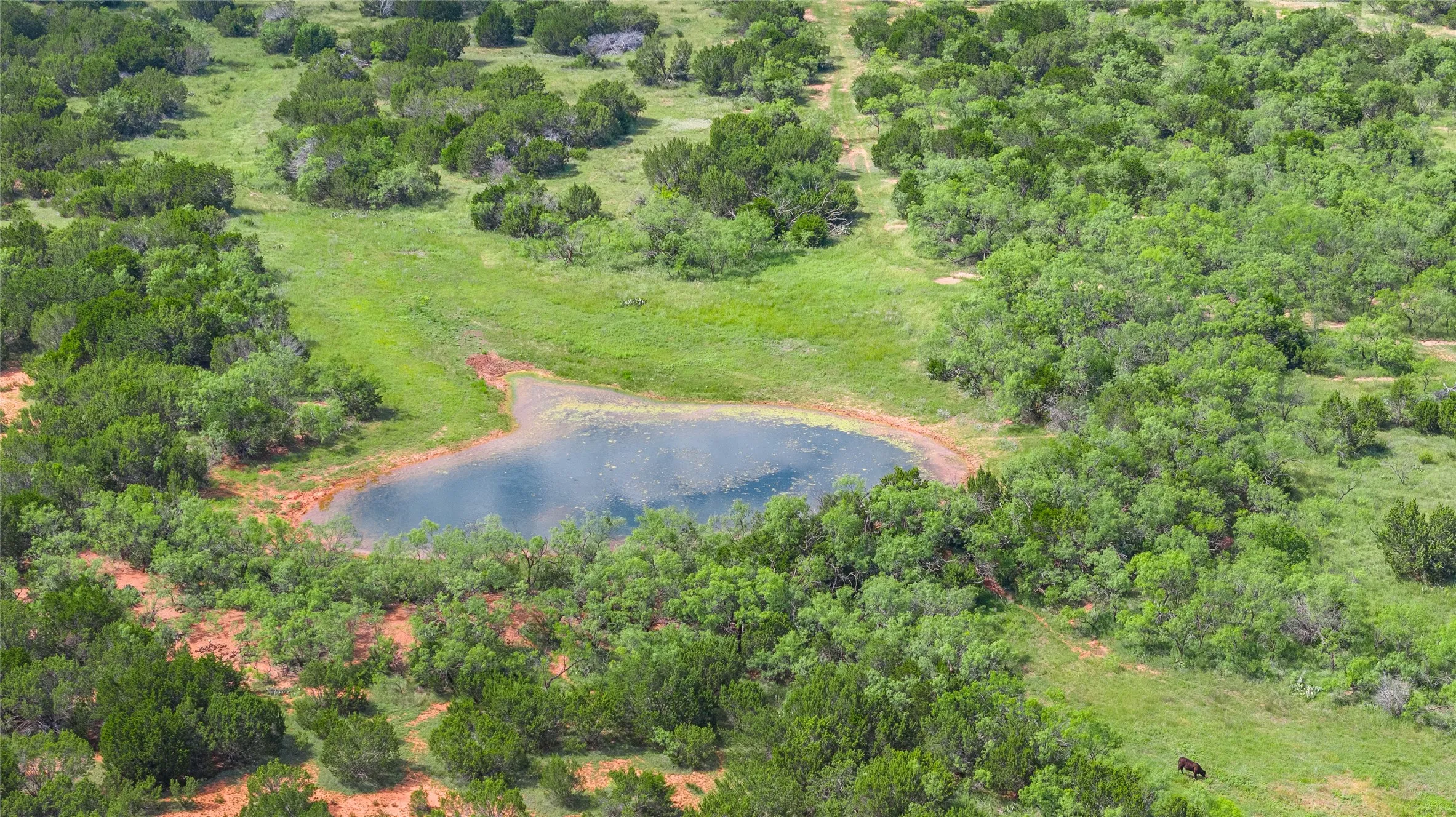 Ranch For Sale in Taylor County , TBD Track 3 County Road 207, Ovalo, Texas 79541, 0, 0, Garage spaces, 0 Sqft, built in 0, Price $775,000, mls#21318738, Real Estate Agent in Ovalo, Homes For Sale in Taylor county, Homes For Sale in Ovalo, Realtor in Ovalo Texas, Real Estate Brokerage Independent Realty Texas, Luminita Cordes Realtor