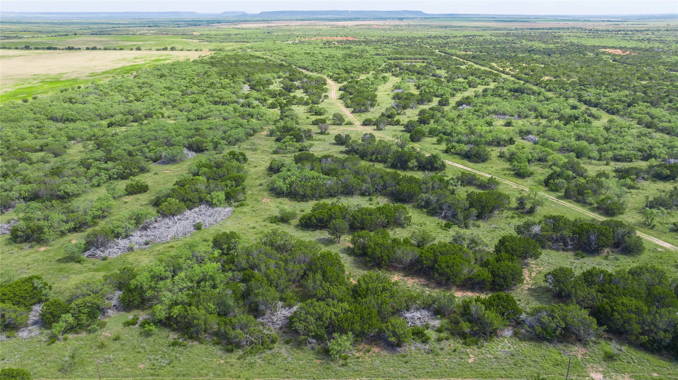 Ranch For Sale in Taylor County , TBD Track 3 County Road 207, Ovalo, Texas 79541, 0, 0, Garage spaces, 0 Sqft, built in 0, Price $775,000, mls#21318738, Real Estate Agent in Ovalo, Homes For Sale in Taylor county, Homes For Sale in Ovalo, Realtor in Ovalo Texas, Real Estate Brokerage Independent Realty Texas, Luminita Cordes Realtor