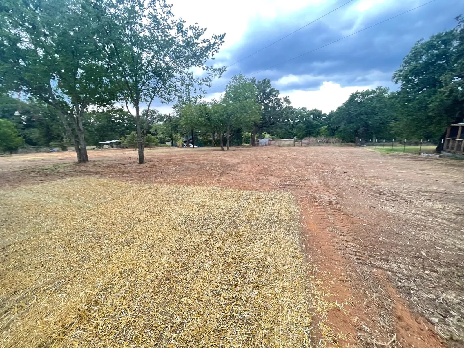 Expansive lot with mature trees and a combination of cleared earth and dry vegetation
