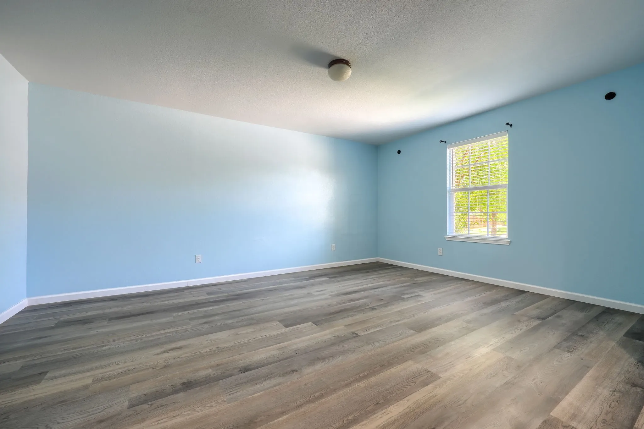 Spacious room featuring wood-finish flooring, light blue walls, and white baseboards