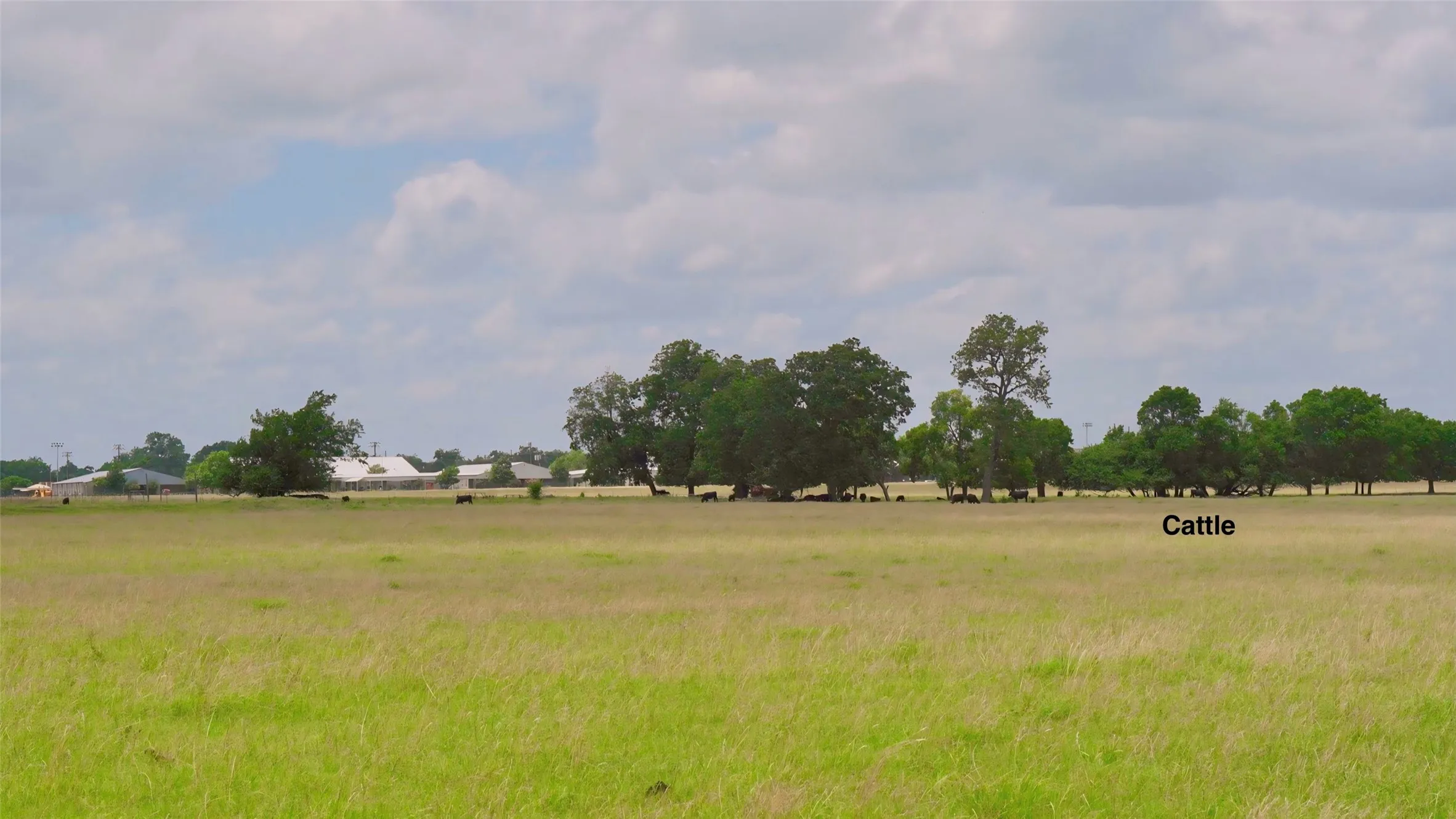 View of undeveloped land with rural landscape