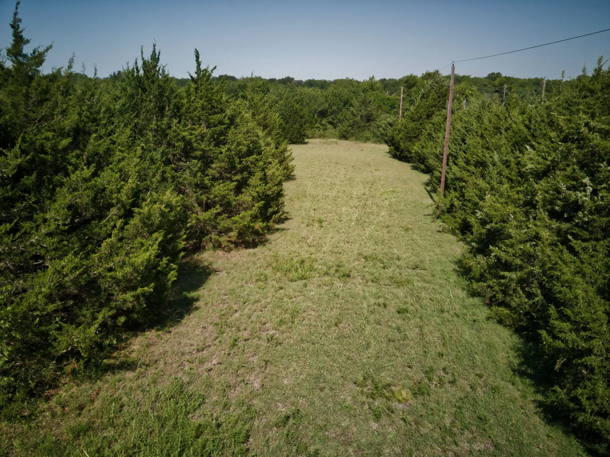 Pasture view.