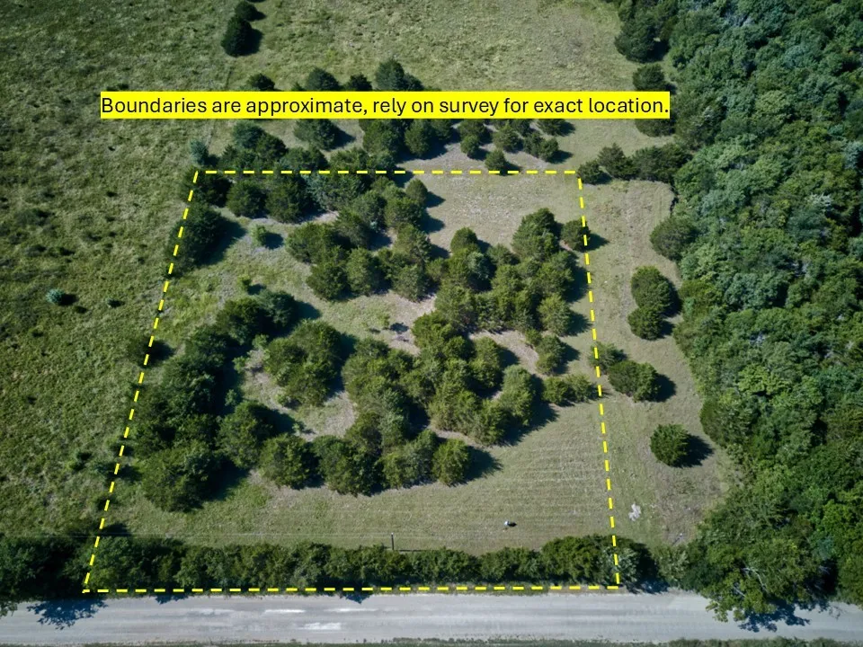 Expansive land parcel featuring open grassy areas and clusters of evergreen trees