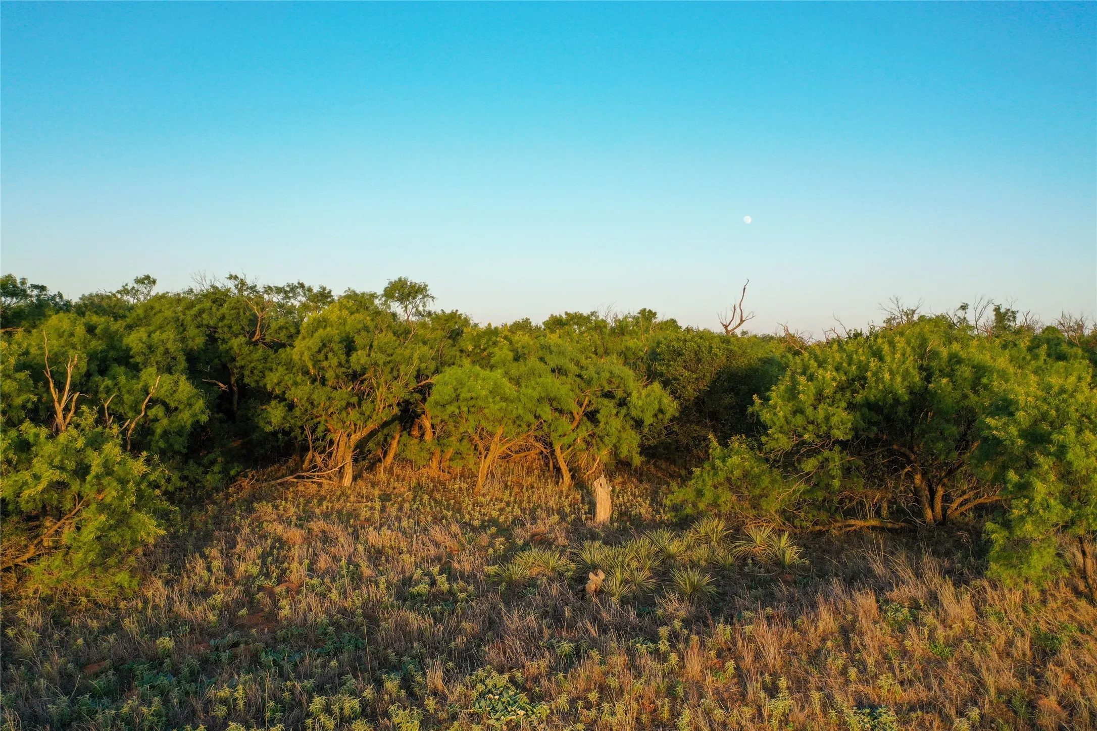 Unimproved Land For Sale in Haskell County , TBD CR 146, Rule, Texas 79547, 0, 0, Garage spaces, 0 Sqft, built in 0, Price $240,000, mls#21315739, Real Estate Agent in Rule, Homes For Sale in Haskell county, Homes For Sale in Rule, Realtor in Rule Texas, Real Estate Brokerage Independent Realty Texas, Luminita Cordes Realtor