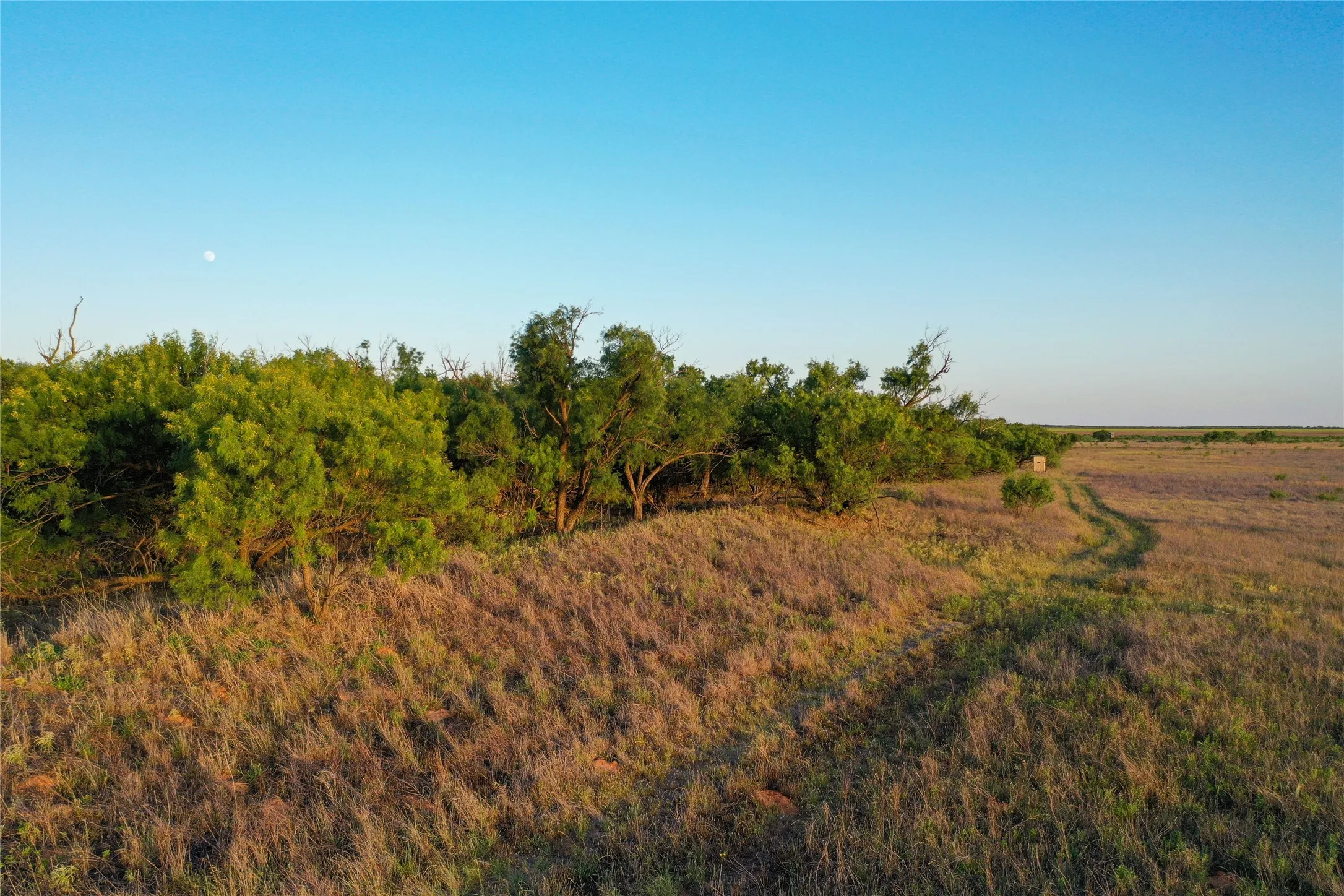 Unimproved Land For Sale in Haskell County , TBD CR 146, Rule, Texas 79547, 0, 0, Garage spaces, 0 Sqft, built in 0, Price $240,000, mls#21315739, Real Estate Agent in Rule, Homes For Sale in Haskell county, Homes For Sale in Rule, Realtor in Rule Texas, Real Estate Brokerage Independent Realty Texas, Luminita Cordes Realtor