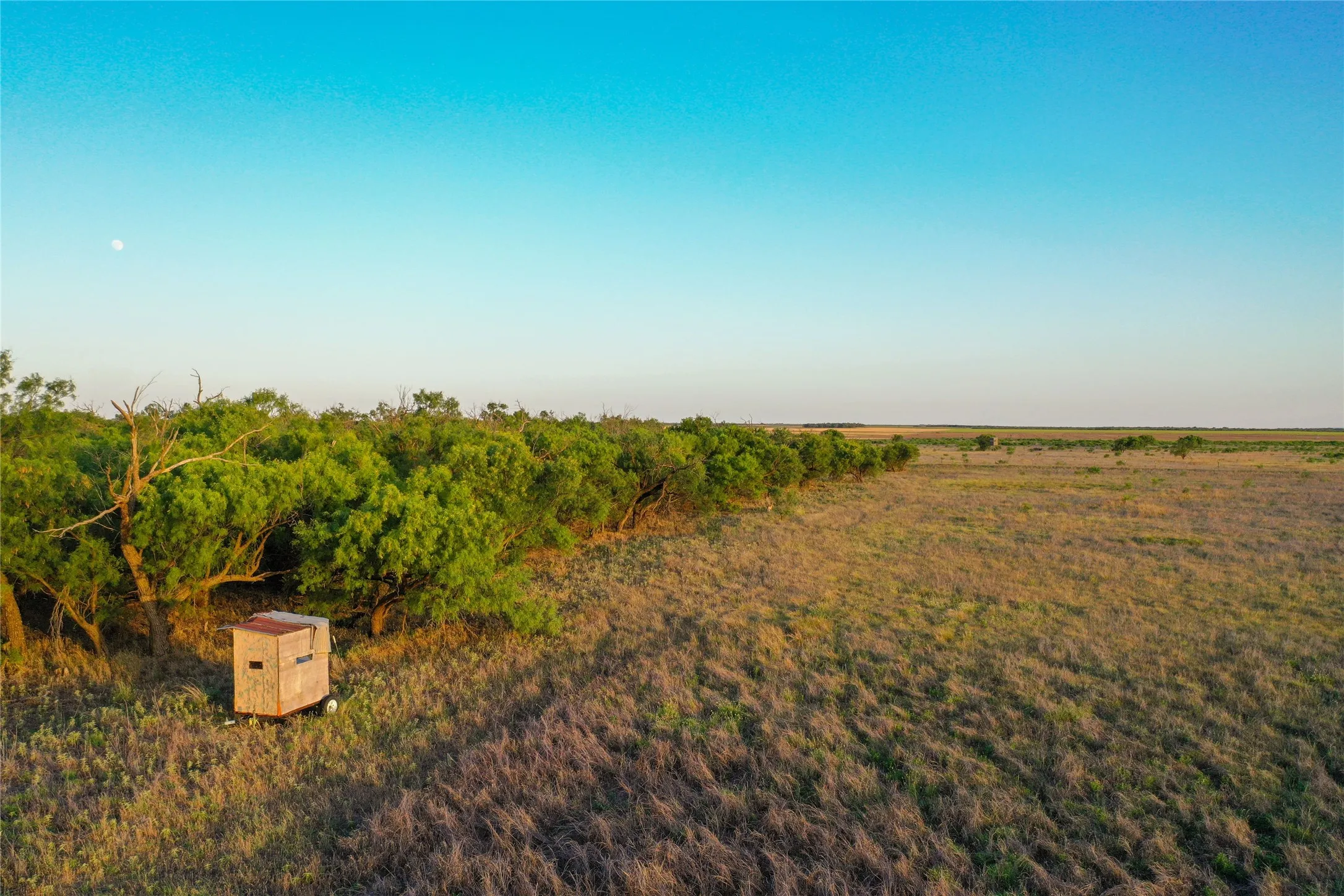 Unimproved Land For Sale in Haskell County , TBD CR 146, Rule, Texas 79547, 0, 0, Garage spaces, 0 Sqft, built in 0, Price $240,000, mls#21315739, Real Estate Agent in Rule, Homes For Sale in Haskell county, Homes For Sale in Rule, Realtor in Rule Texas, Real Estate Brokerage Independent Realty Texas, Luminita Cordes Realtor