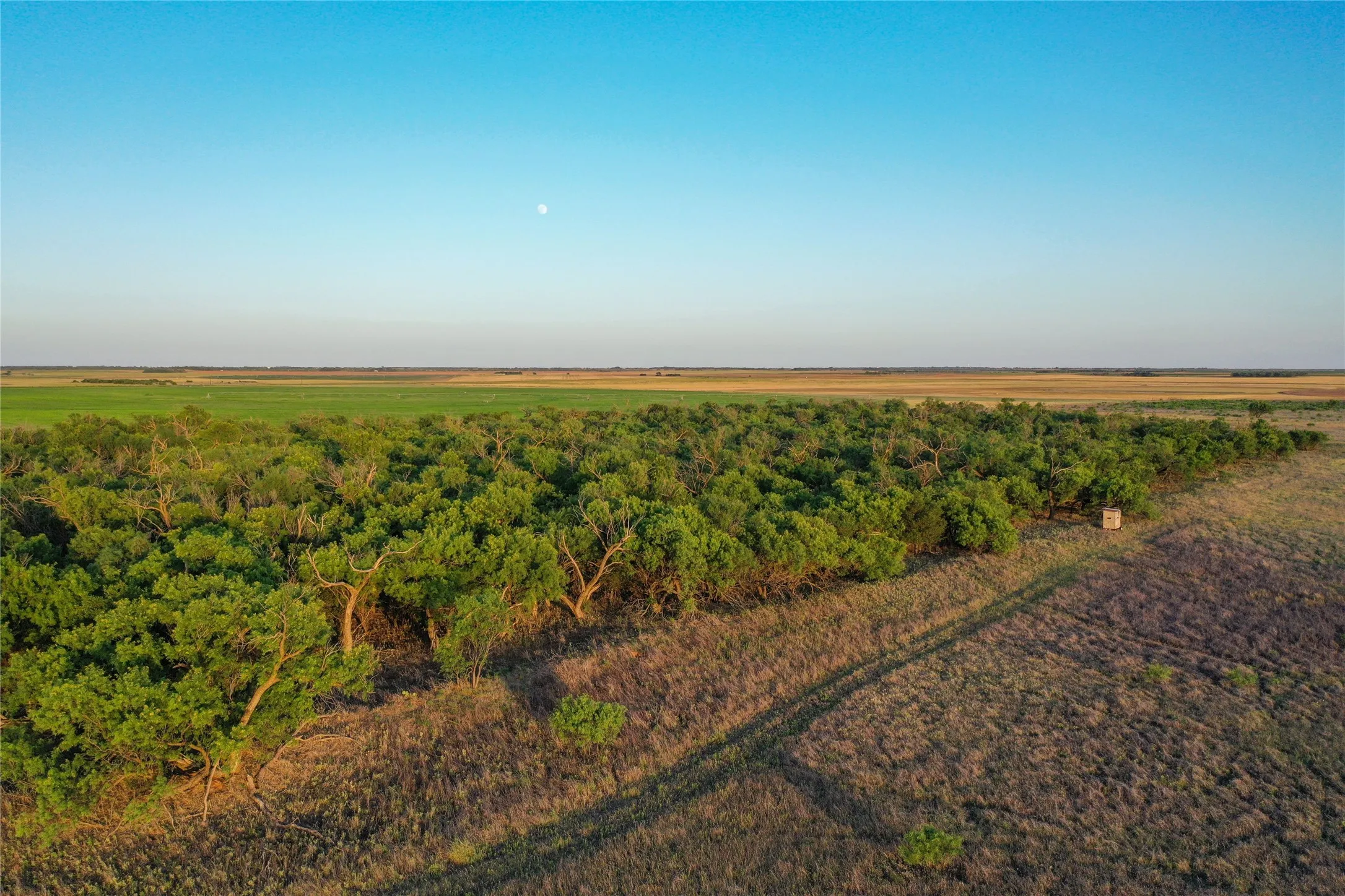 Unimproved Land For Sale in Haskell County , TBD CR 146, Rule, Texas 79547, 0, 0, Garage spaces, 0 Sqft, built in 0, Price $240,000, mls#21315739, Real Estate Agent in Rule, Homes For Sale in Haskell county, Homes For Sale in Rule, Realtor in Rule Texas, Real Estate Brokerage Independent Realty Texas, Luminita Cordes Realtor