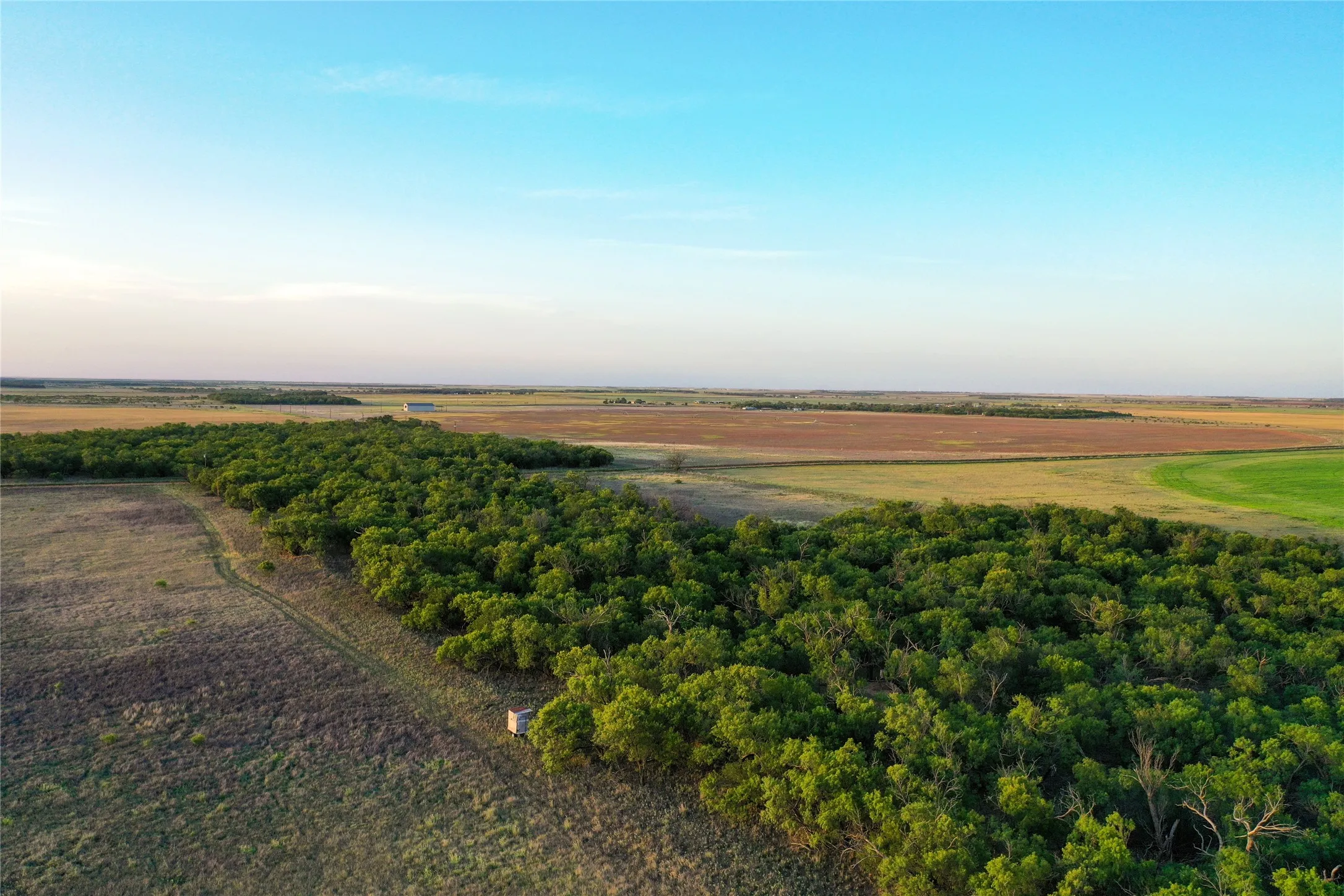Unimproved Land For Sale in Haskell County , TBD CR 146, Rule, Texas 79547, 0, 0, Garage spaces, 0 Sqft, built in 0, Price $240,000, mls#21315739, Real Estate Agent in Rule, Homes For Sale in Haskell county, Homes For Sale in Rule, Realtor in Rule Texas, Real Estate Brokerage Independent Realty Texas, Luminita Cordes Realtor