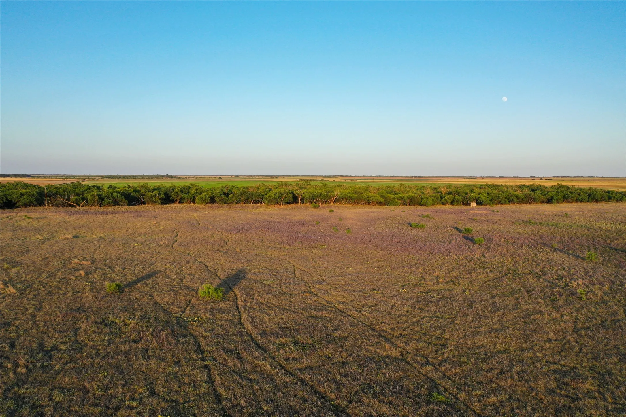 Unimproved Land For Sale in Haskell County , TBD CR 146, Rule, Texas 79547, 0, 0, Garage spaces, 0 Sqft, built in 0, Price $240,000, mls#21315739, Real Estate Agent in Rule, Homes For Sale in Haskell county, Homes For Sale in Rule, Realtor in Rule Texas, Real Estate Brokerage Independent Realty Texas, Luminita Cordes Realtor