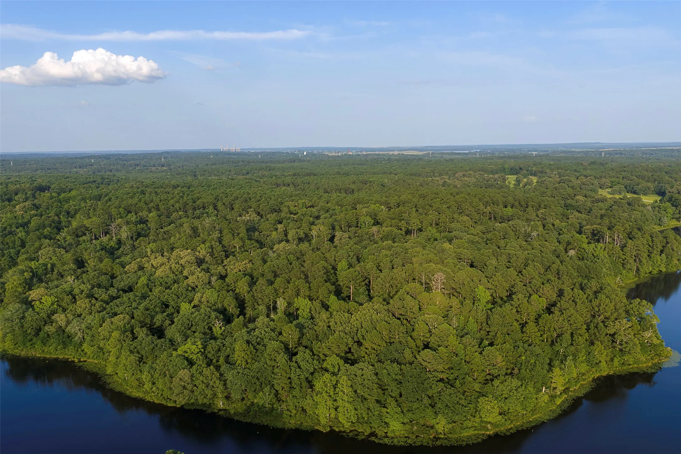 Unimproved Land For Sale in Rusk County , 00 County Road 2136, Tatum, Texas 75691, 0, 0, Garage spaces, 0 Sqft, built in 0, Price $1,150,000, mls#21322786, Real Estate Agent in Tatum, Homes For Sale in Rusk county, Homes For Sale in Tatum, Realtor in Tatum Texas, Real Estate Brokerage Independent Realty Texas, Luminita Cordes Realtor