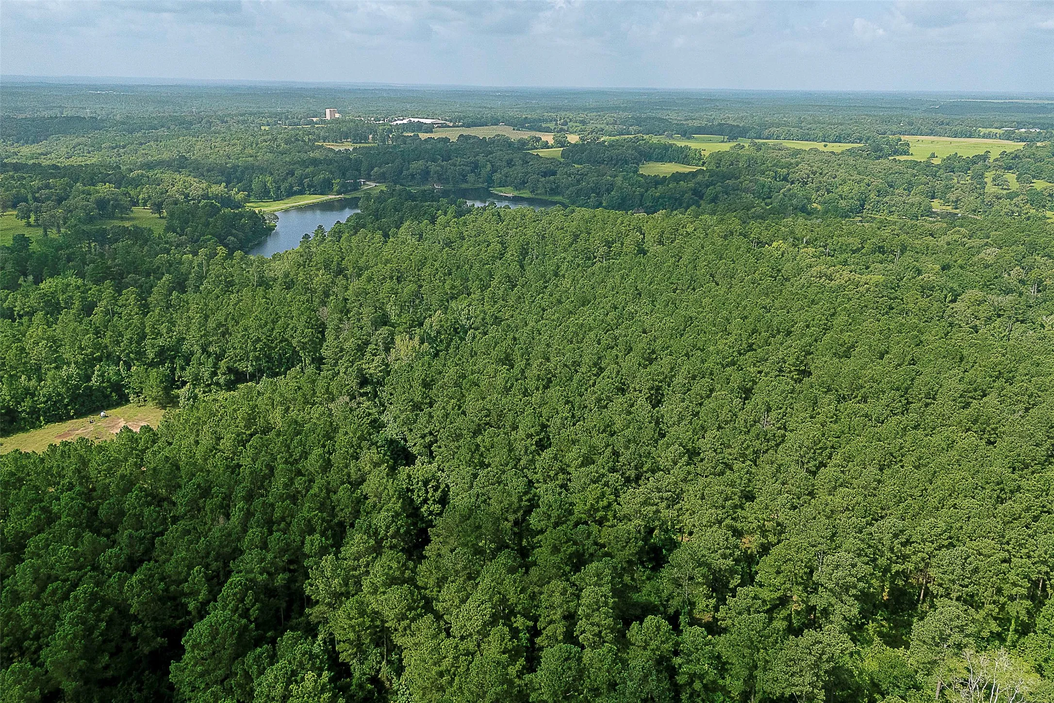 Unimproved Land For Sale in Rusk County , 00 County Road 2136, Tatum, Texas 75691, 0, 0, Garage spaces, 0 Sqft, built in 0, Price $1,150,000, mls#21322786, Real Estate Agent in Tatum, Homes For Sale in Rusk county, Homes For Sale in Tatum, Realtor in Tatum Texas, Real Estate Brokerage Independent Realty Texas, Luminita Cordes Realtor