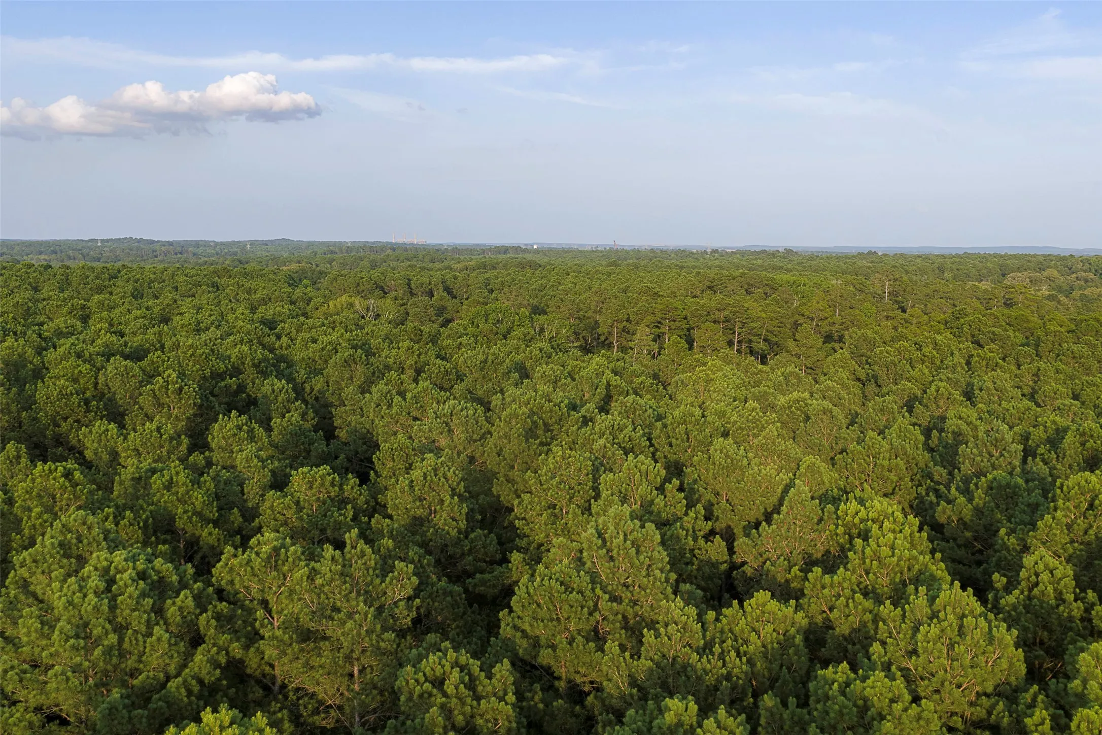 Unimproved Land For Sale in Rusk County , 00 County Road 2136, Tatum, Texas 75691, 0, 0, Garage spaces, 0 Sqft, built in 0, Price $1,150,000, mls#21322786, Real Estate Agent in Tatum, Homes For Sale in Rusk county, Homes For Sale in Tatum, Realtor in Tatum Texas, Real Estate Brokerage Independent Realty Texas, Luminita Cordes Realtor