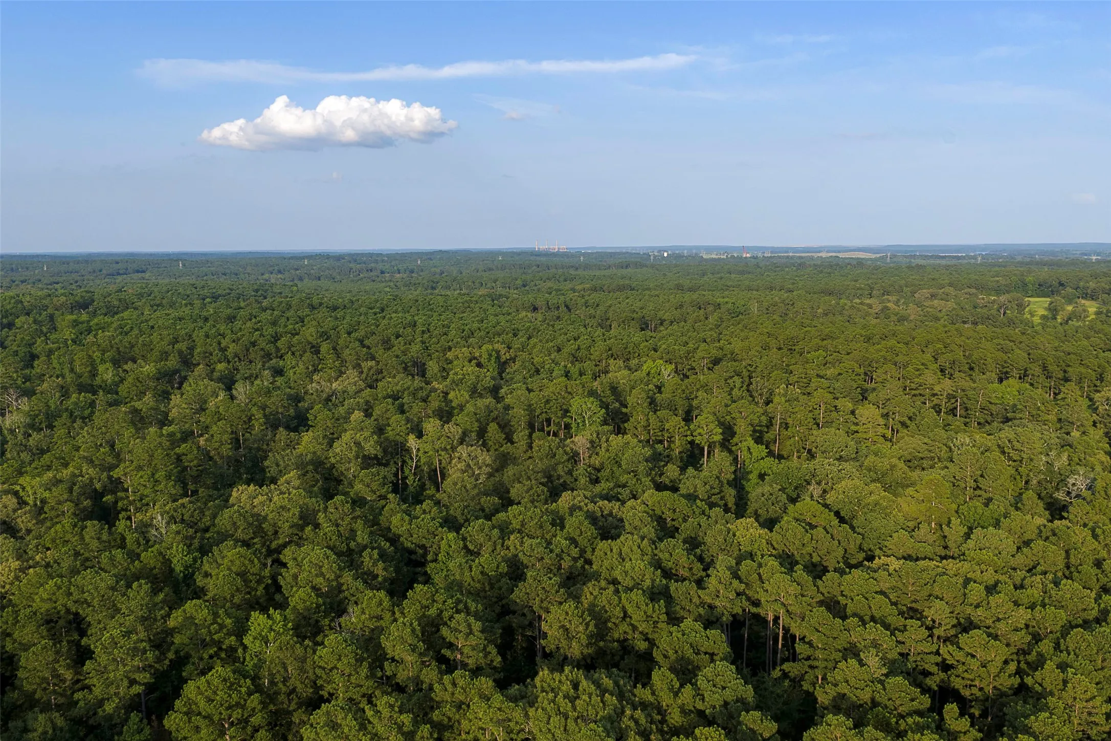 Unimproved Land For Sale in Rusk County , 00 County Road 2136, Tatum, Texas 75691, 0, 0, Garage spaces, 0 Sqft, built in 0, Price $1,150,000, mls#21322786, Real Estate Agent in Tatum, Homes For Sale in Rusk county, Homes For Sale in Tatum, Realtor in Tatum Texas, Real Estate Brokerage Independent Realty Texas, Luminita Cordes Realtor