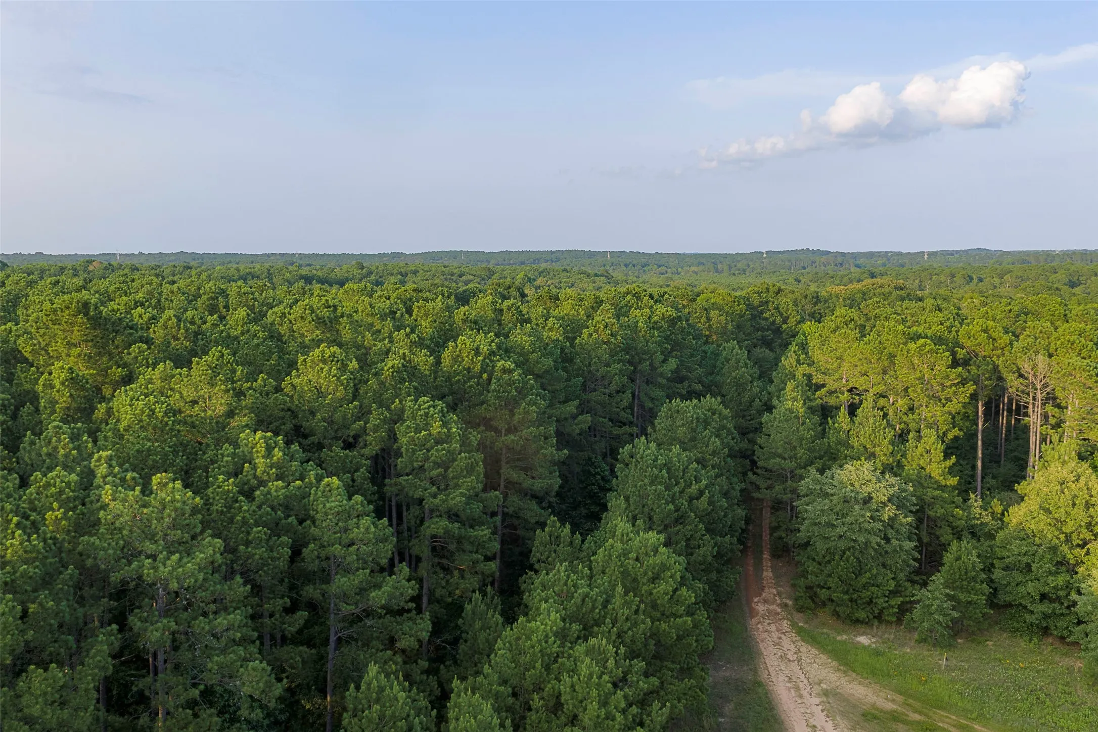 Unimproved Land For Sale in Rusk County , 00 County Road 2136, Tatum, Texas 75691, 0, 0, Garage spaces, 0 Sqft, built in 0, Price $1,150,000, mls#21322786, Real Estate Agent in Tatum, Homes For Sale in Rusk county, Homes For Sale in Tatum, Realtor in Tatum Texas, Real Estate Brokerage Independent Realty Texas, Luminita Cordes Realtor