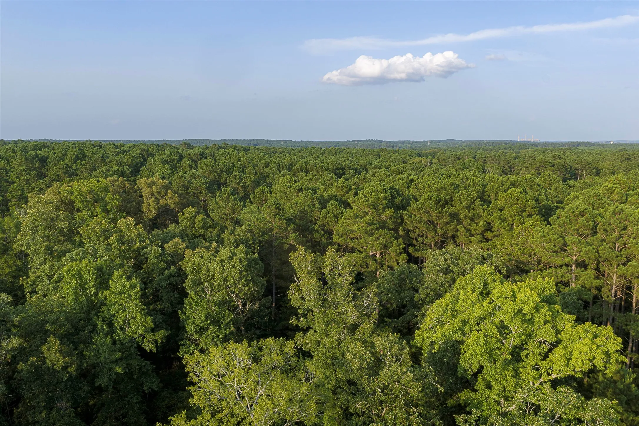 Unimproved Land For Sale in Rusk County , 00 County Road 2136, Tatum, Texas 75691, 0, 0, Garage spaces, 0 Sqft, built in 0, Price $1,150,000, mls#21322786, Real Estate Agent in Tatum, Homes For Sale in Rusk county, Homes For Sale in Tatum, Realtor in Tatum Texas, Real Estate Brokerage Independent Realty Texas, Luminita Cordes Realtor