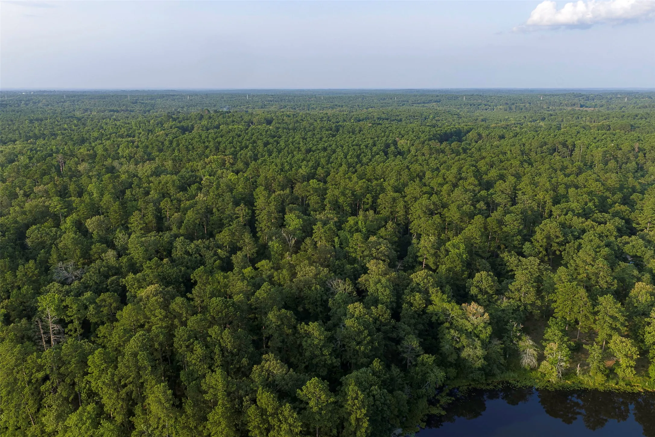 Unimproved Land For Sale in Rusk County , 00 County Road 2136, Tatum, Texas 75691, 0, 0, Garage spaces, 0 Sqft, built in 0, Price $1,150,000, mls#21322786, Real Estate Agent in Tatum, Homes For Sale in Rusk county, Homes For Sale in Tatum, Realtor in Tatum Texas, Real Estate Brokerage Independent Realty Texas, Luminita Cordes Realtor